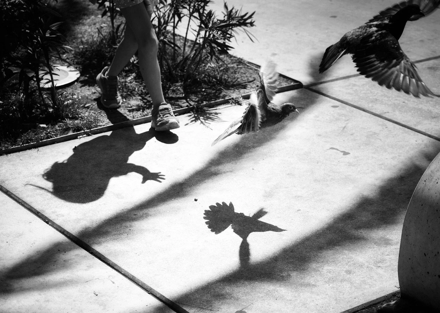 F0E81163-CD8A-45A0-A622-55B451050242 2.JPG