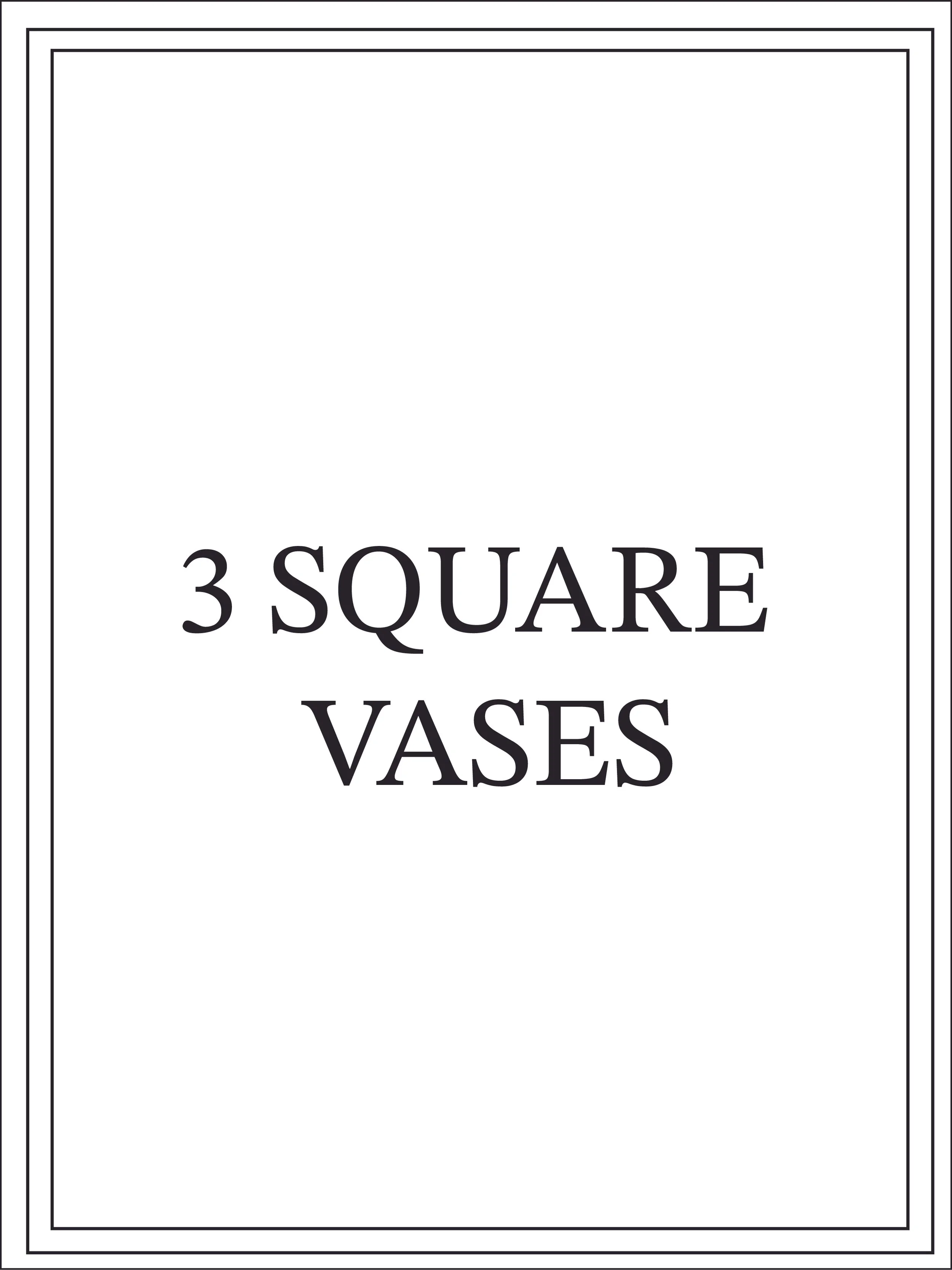 3 sqaure vases.jpg