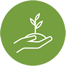 Dos and Don_ts icons_start small.png