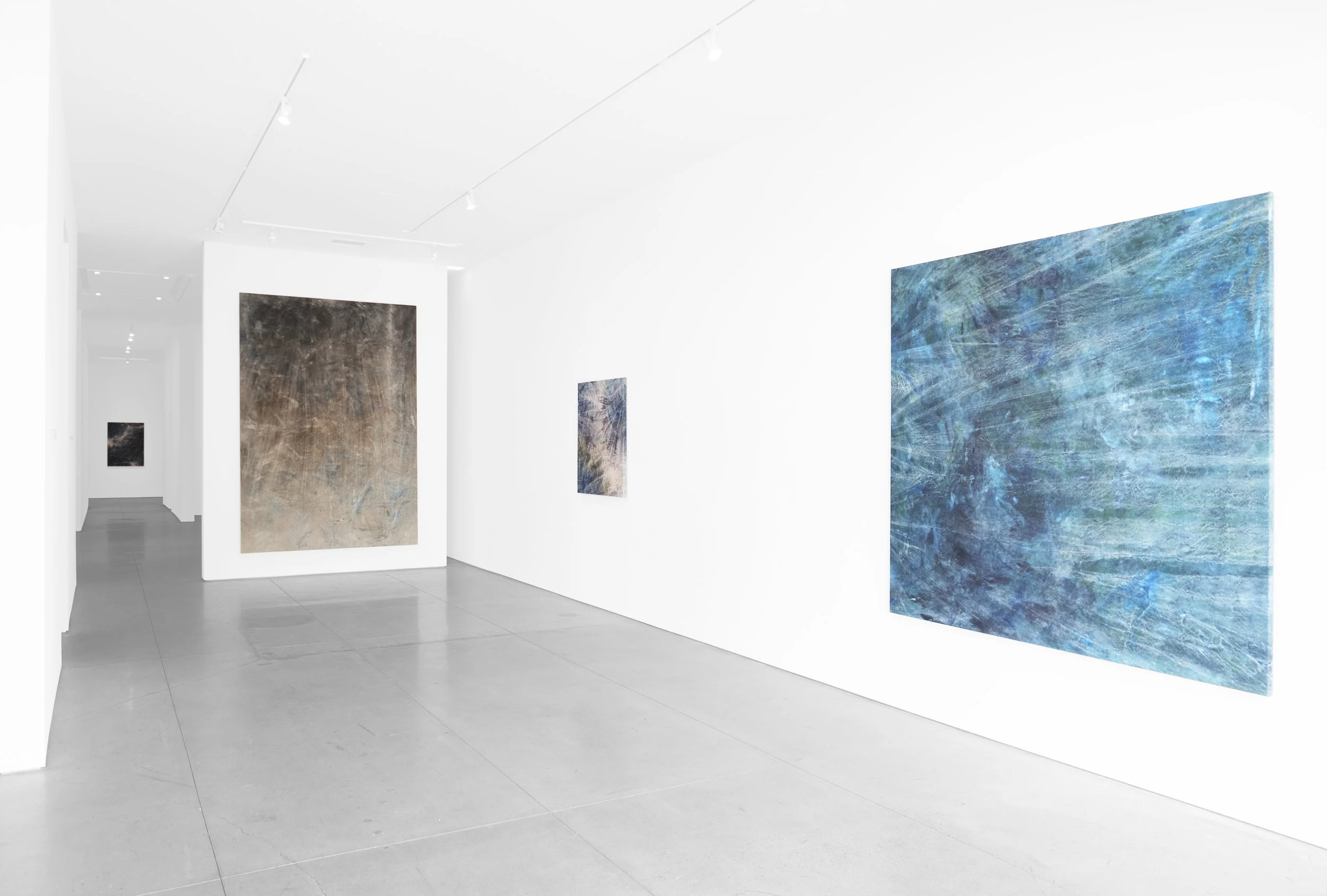 Cole Sternberg Solo Exhibition 2019_Peter Blake Gallery_Installation View_2.jpg