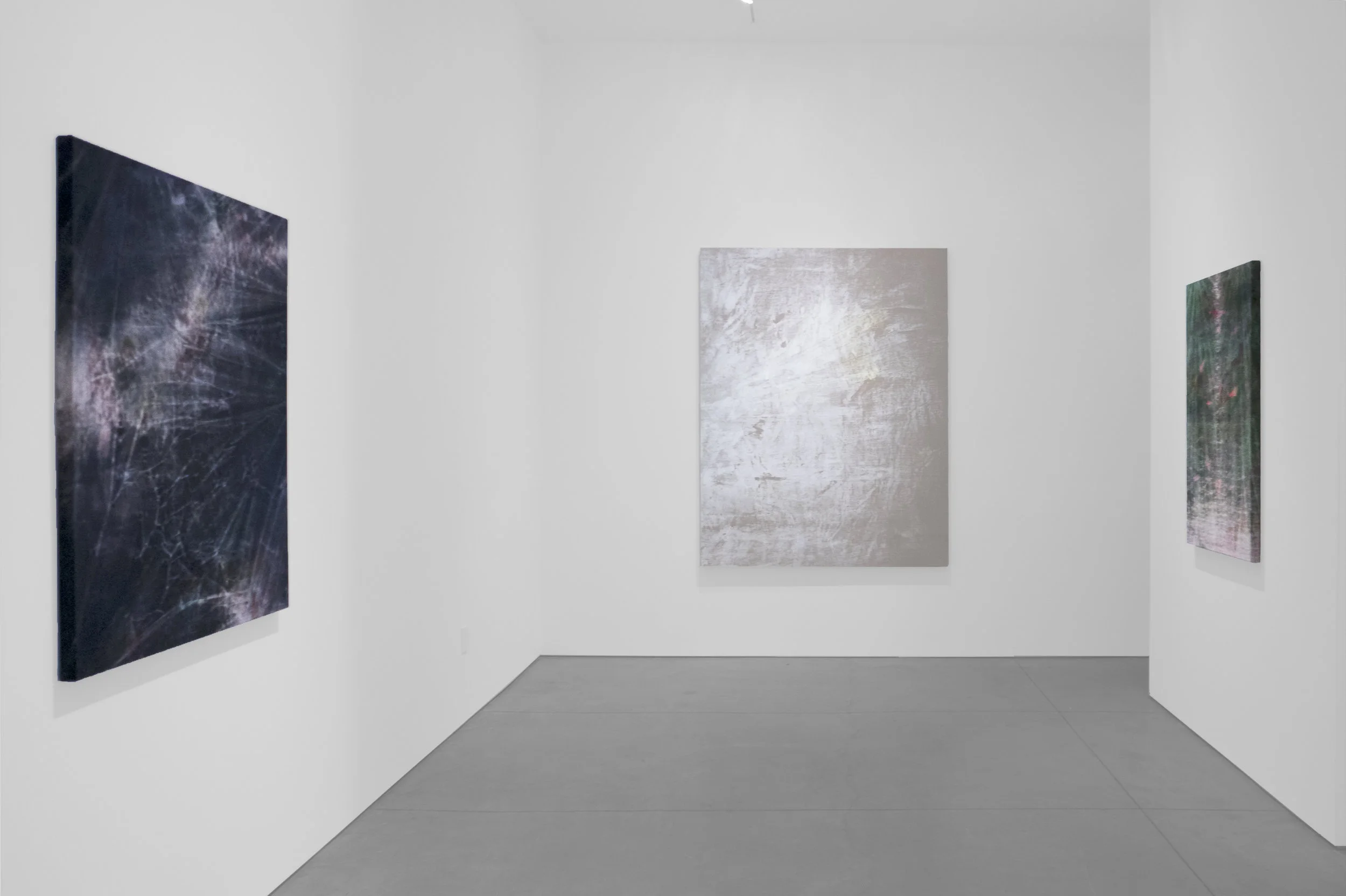 Cole Sternberg Solo Exhibition 2019_Peter Blake Gallery_Installation View_9.jpg