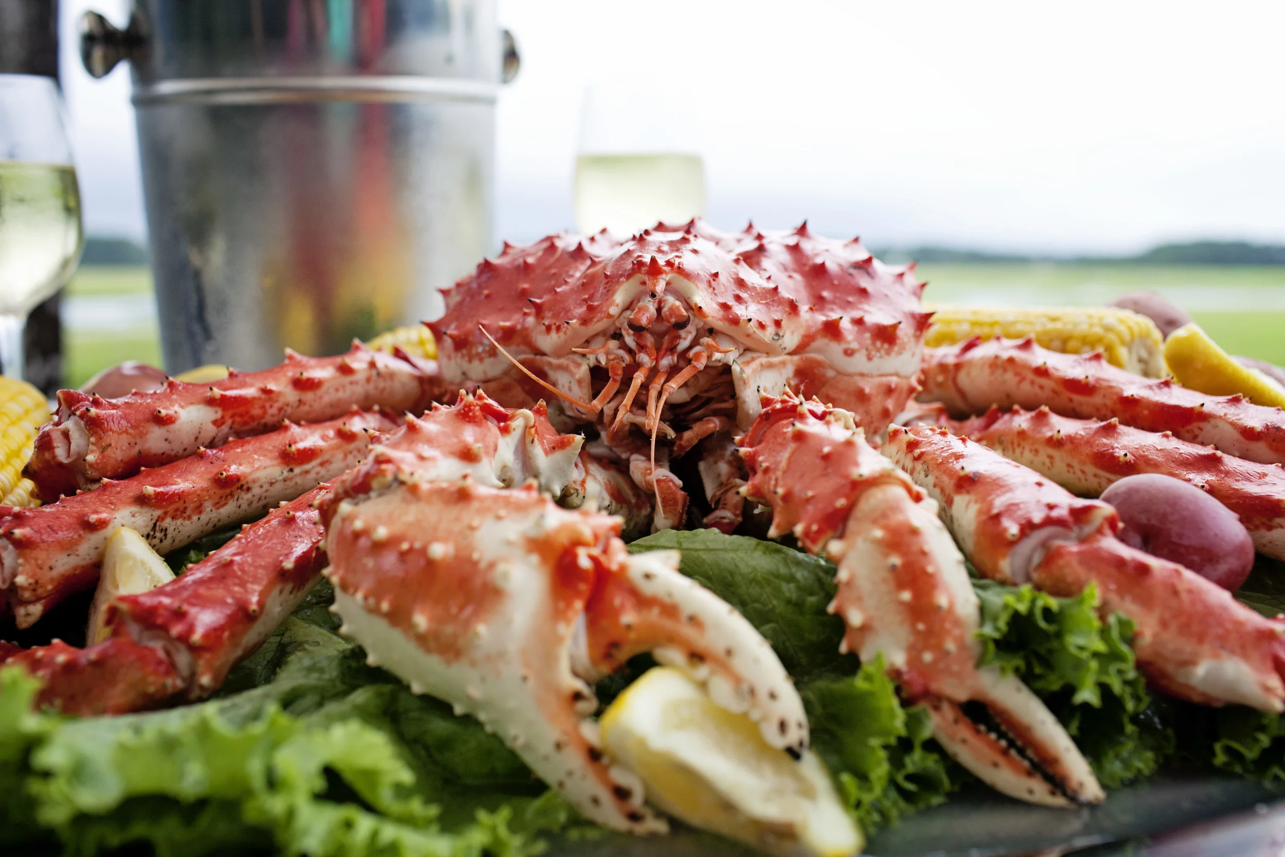 kingcrab_0031.jpg