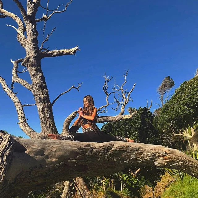 Hanumanasana beholds the story of Hanuman, the monkey king and loyal devotee to Lord Rama, who lept across the sea from India to reassure Ramas wife, Sita that she would be rescued. He is represented in Hanumanasana (Seated Splits) as making that great leap of devotion, and as we practice we are often called to embody that devotion in ourselves. 
Maybe one of the biggest hurdles is feeling comfortable offering that great devotion from our hearts to our own ourselves, to another, to the unseen or unproven. We can use our journey of Hanumanasana to uncover an experience that is unique to all of us, one through which we can enhance our practice and ultimately unite our individual understanding with the universal essence of devotion that lies within. 🌏🙏🏼
Boundless with my babe @yogavibesxx
.
.
.
#hanuman #hanumanasana #splits #native #bush #trees #sun #sunshine #earth #beautiful #mothernature #breathe #mind #body #spirit #yogalove #yoga #yogaeverydamnday #love #motherearth #health #nature #yogi #ocean #sky #nz #newzealand #explore #hike