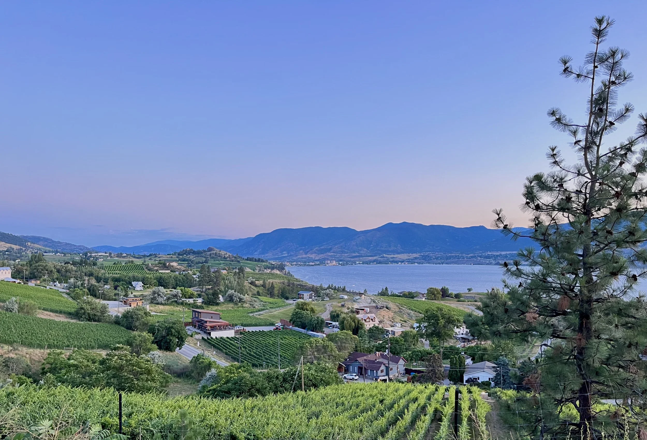 penticton maternity clinic 4.jpeg