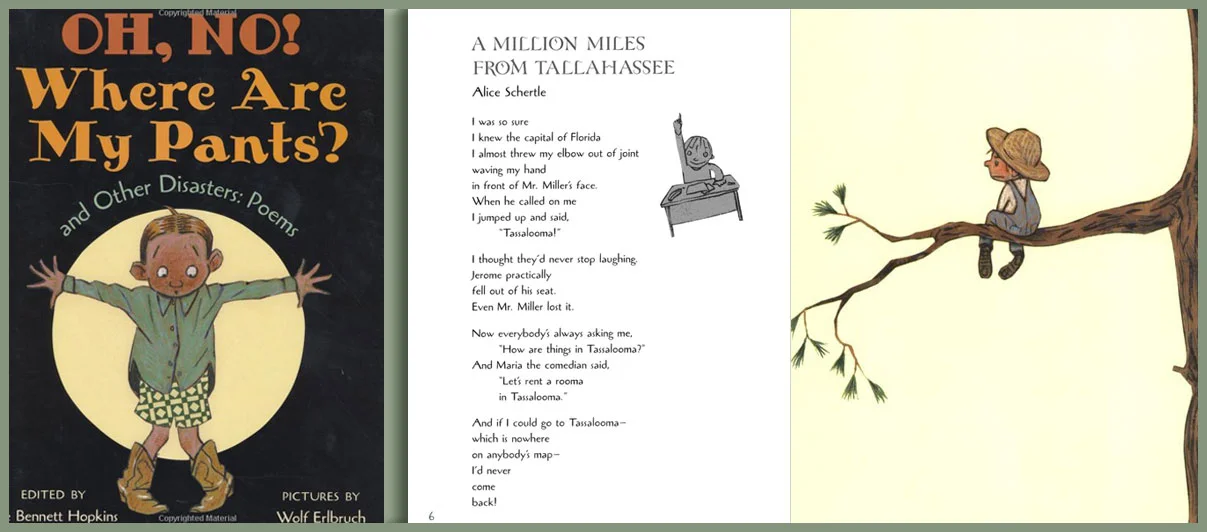 Oh, No! Where Are My Pants and Other Disasters: Poems