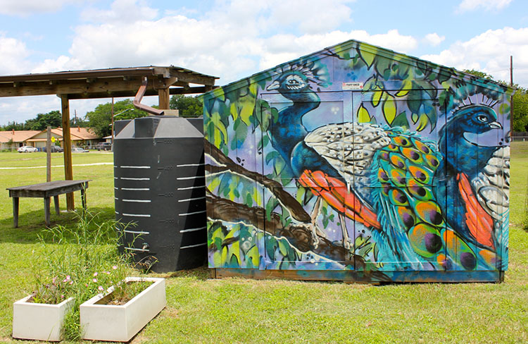 The PEAS garden shed at Cunningham Elementary School. Mural painted by artist JJ Muzacz. (Photo by Dawn Johnson.)