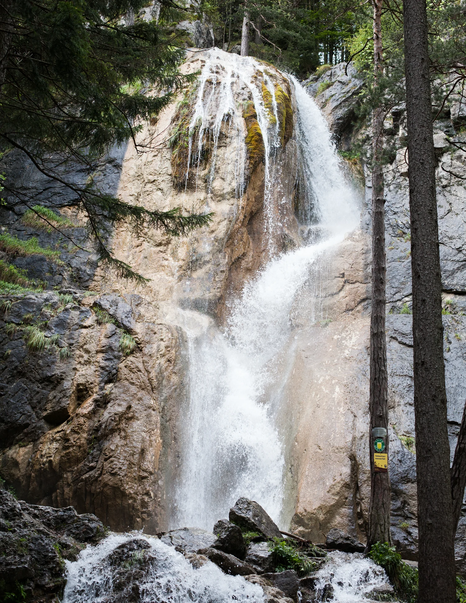 _MG_4187.jpg