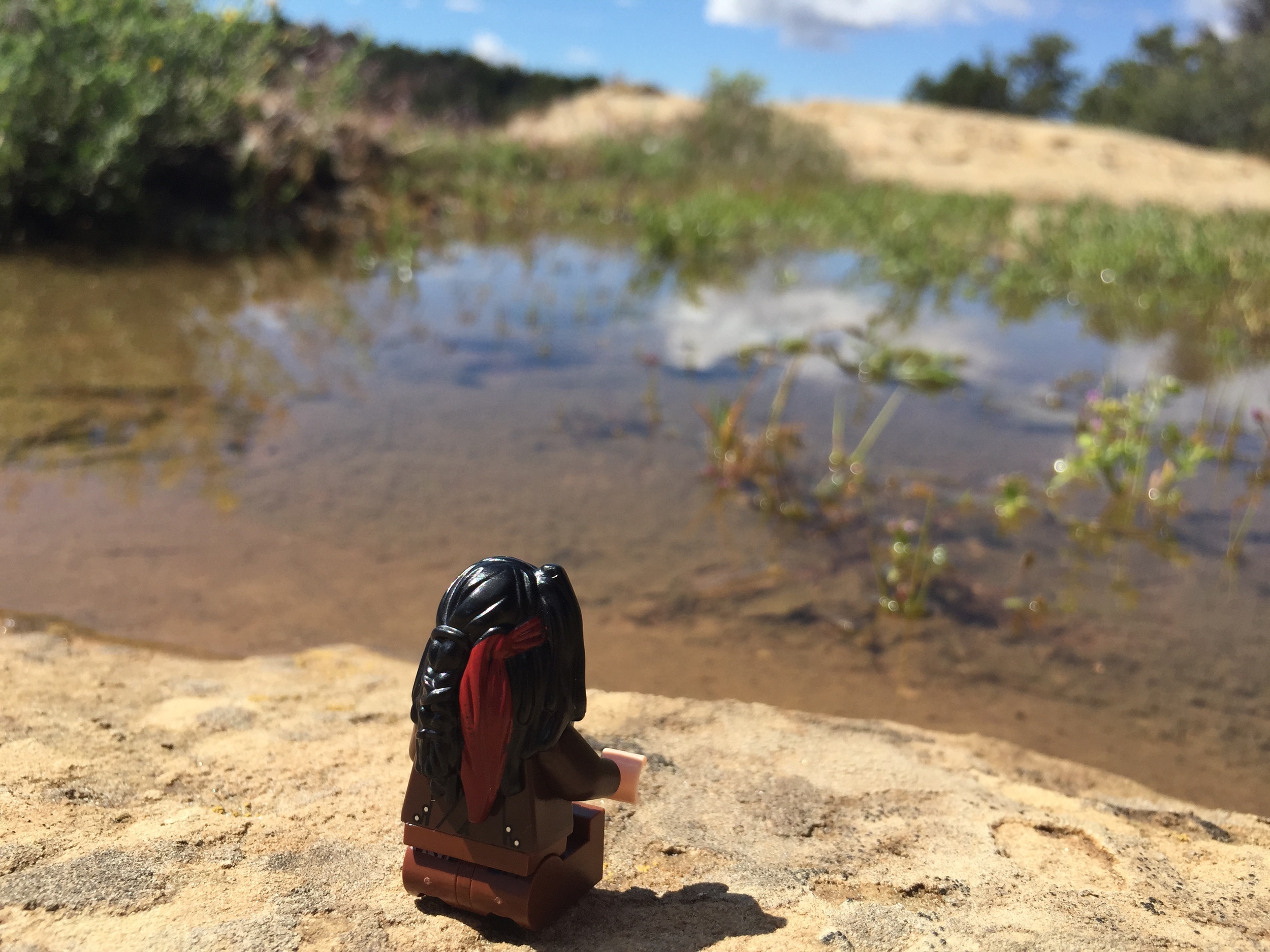 Feeling a bit homesick for the sea at Mesa Verde Lake (ahem, puddle).