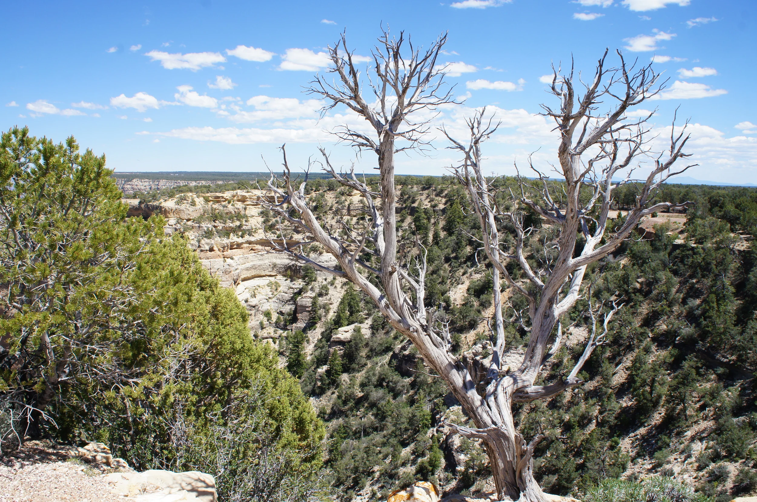 grand canyon