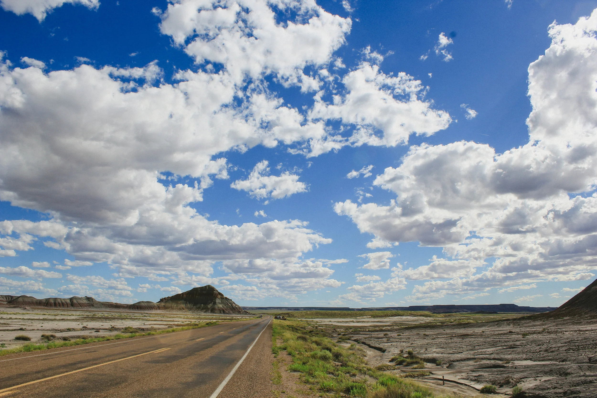 The road through Petrified Forest National Park