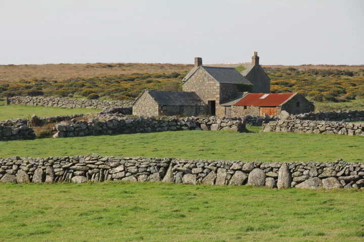 571.JPG