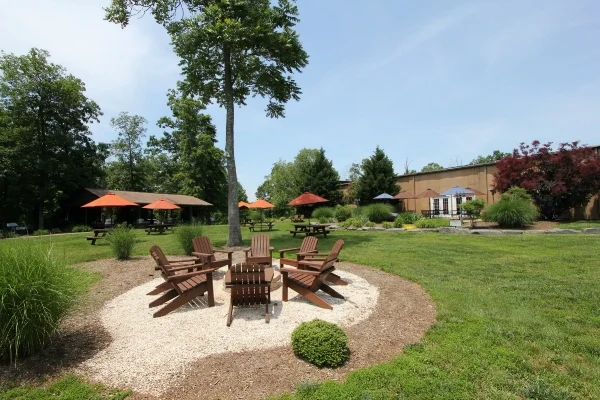 Firepit and Lawn.jpg