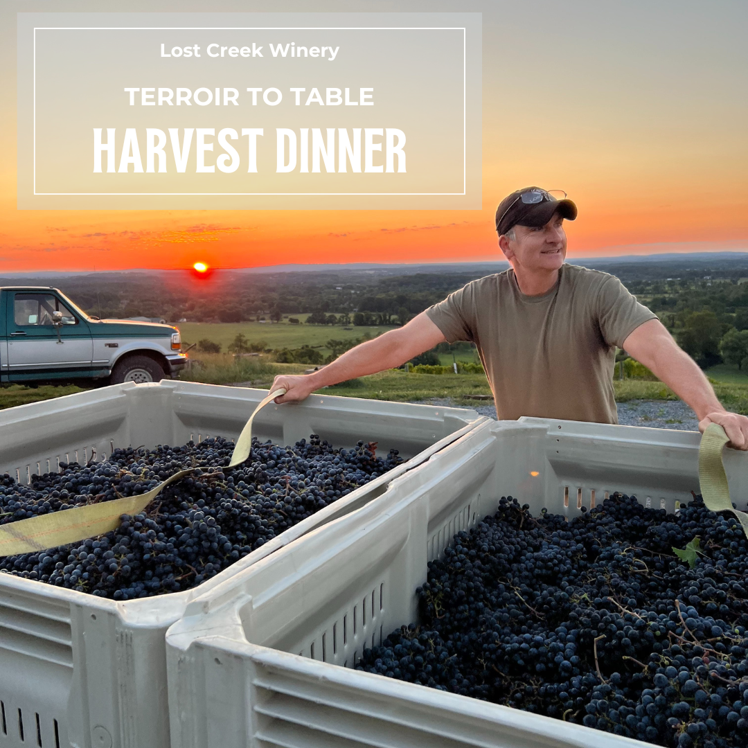 Terroir to Table: Harvest Wine Dinner