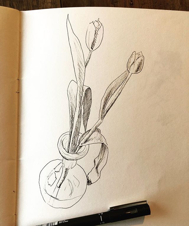 Nearing the end of the road, for these tulips. &mdash;&mdash;&mdash;&mdash;&mdash;&mdash;&mdash;&mdash;&mdash;&mdash;&mdash;&mdash;&mdash;&mdash;&mdash;&mdash;&mdash;&mdash;&mdash;&mdash;&mdash;&mdash;&mdash;
#tulips #flowers #sketch #pensketch #blac