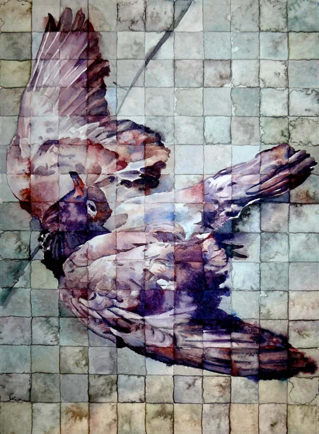 Rock Pigeon (Fatal traffic collision, San Francisco, CA 2010) watercolor on paper