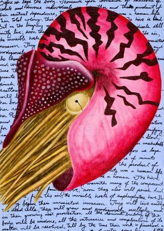 nautilus eulogy