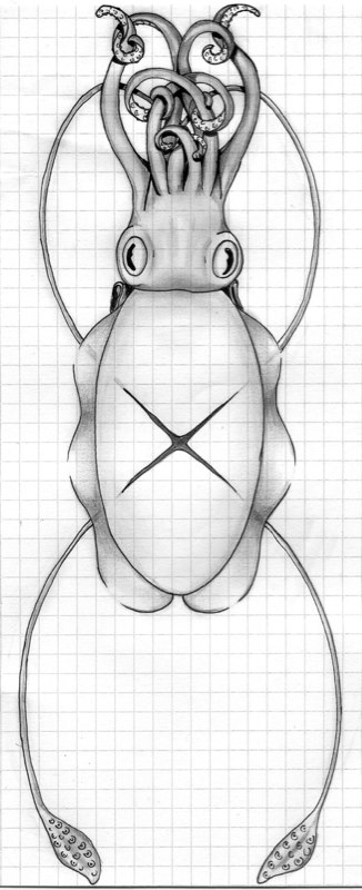 cuttlefish tattoo design 2