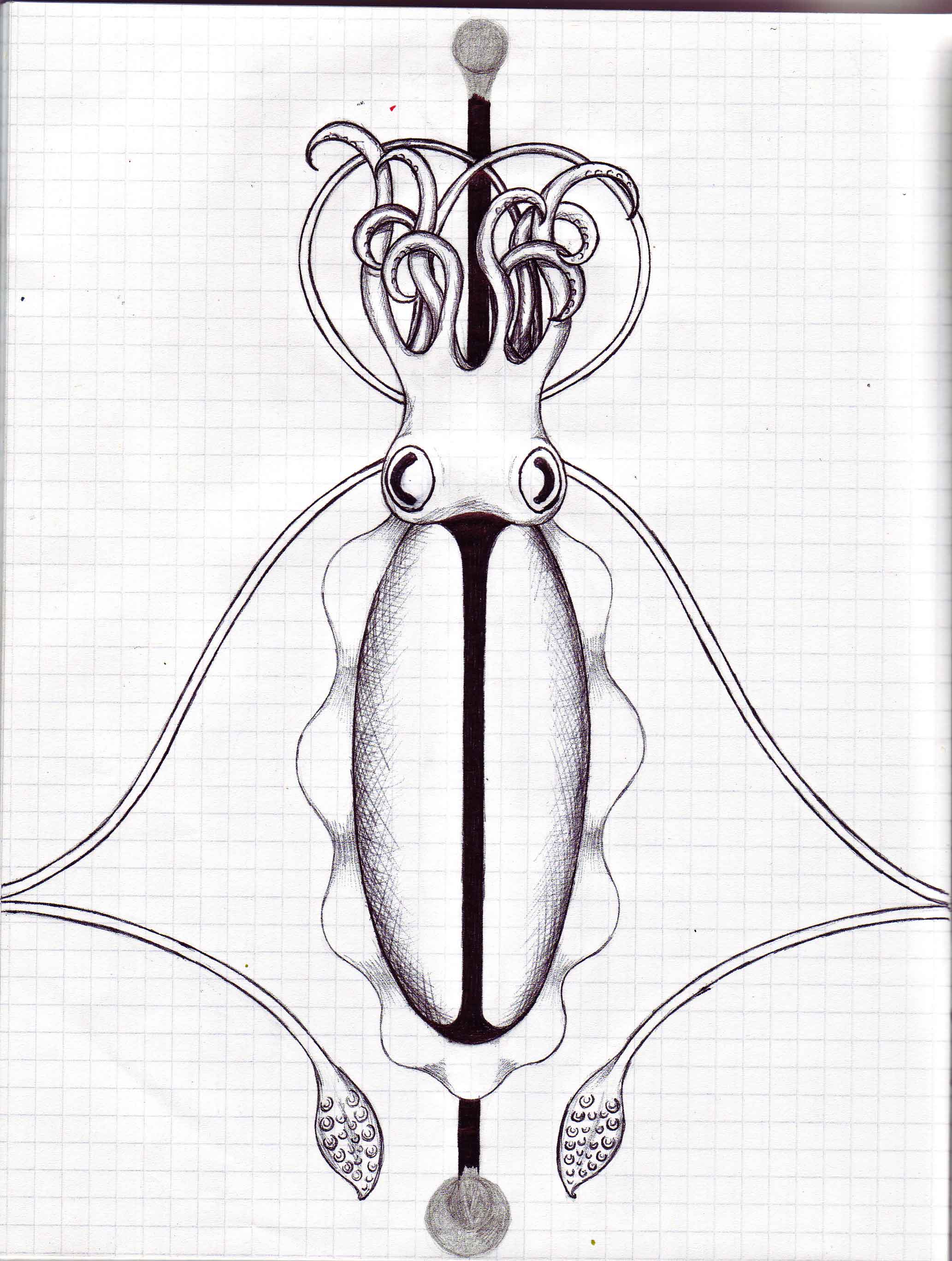 cuttlefish tattoo design 1