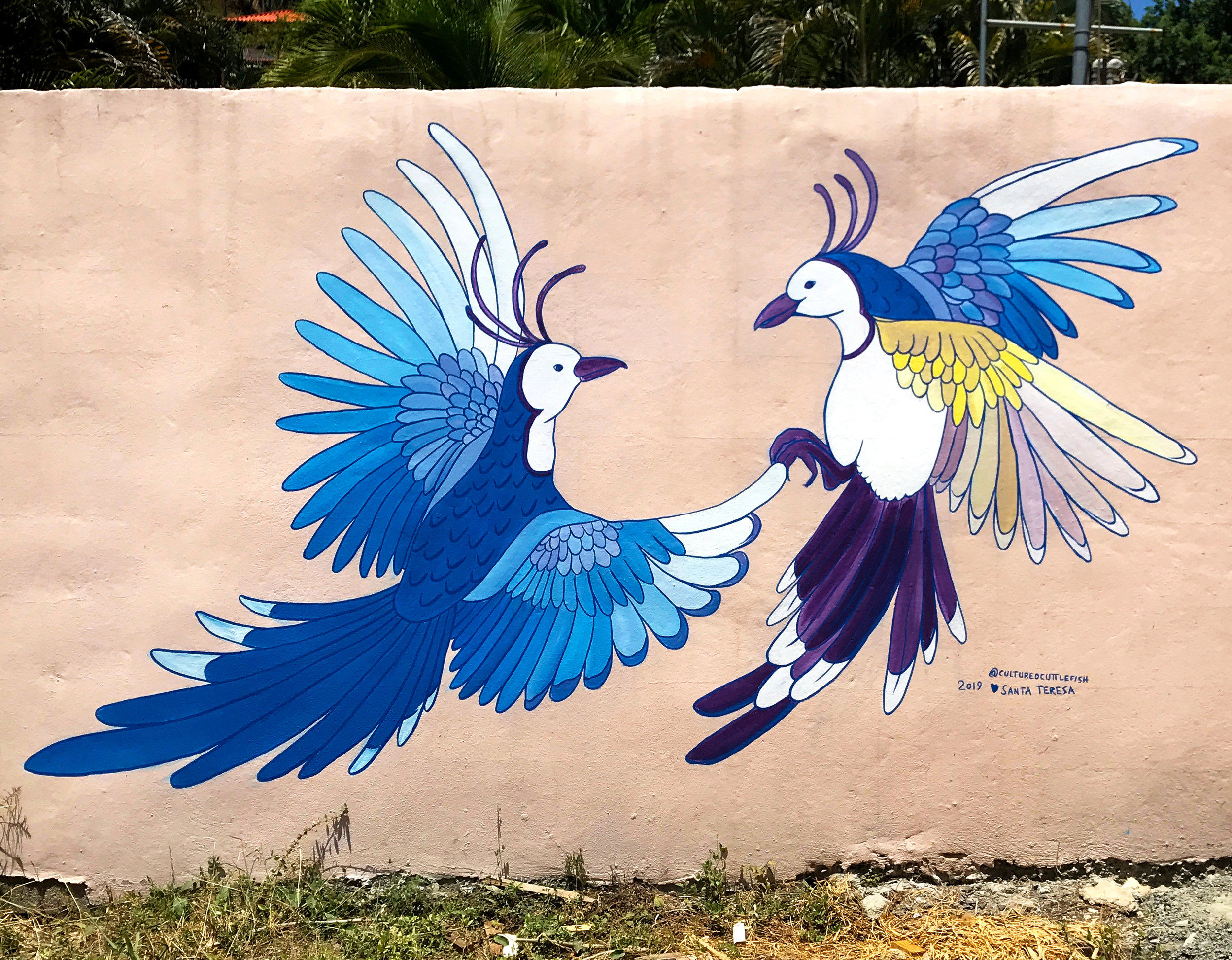  “Piapia Azuls Enamorados” at Casa Victorio, Santa Teresa, Costa Rica, 2019. 