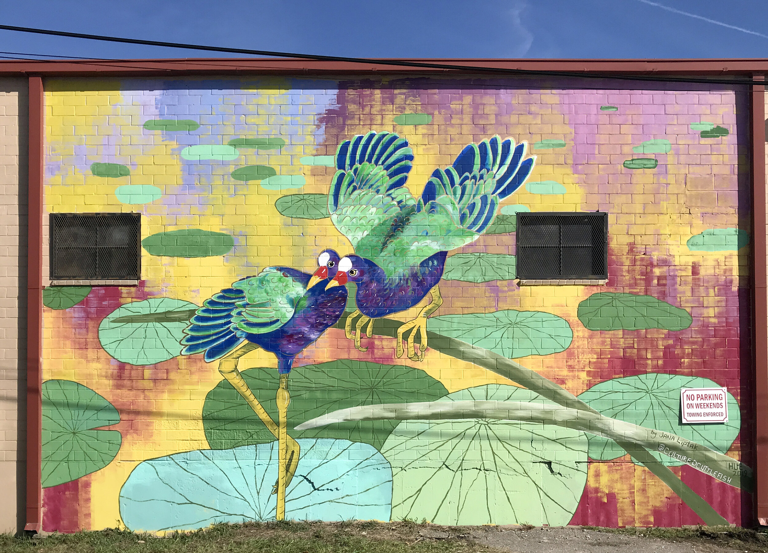  “Purple Gallinules in Love,”  Hue Mural Festival, Hous ton, TX 20’ x 30’, 2019 