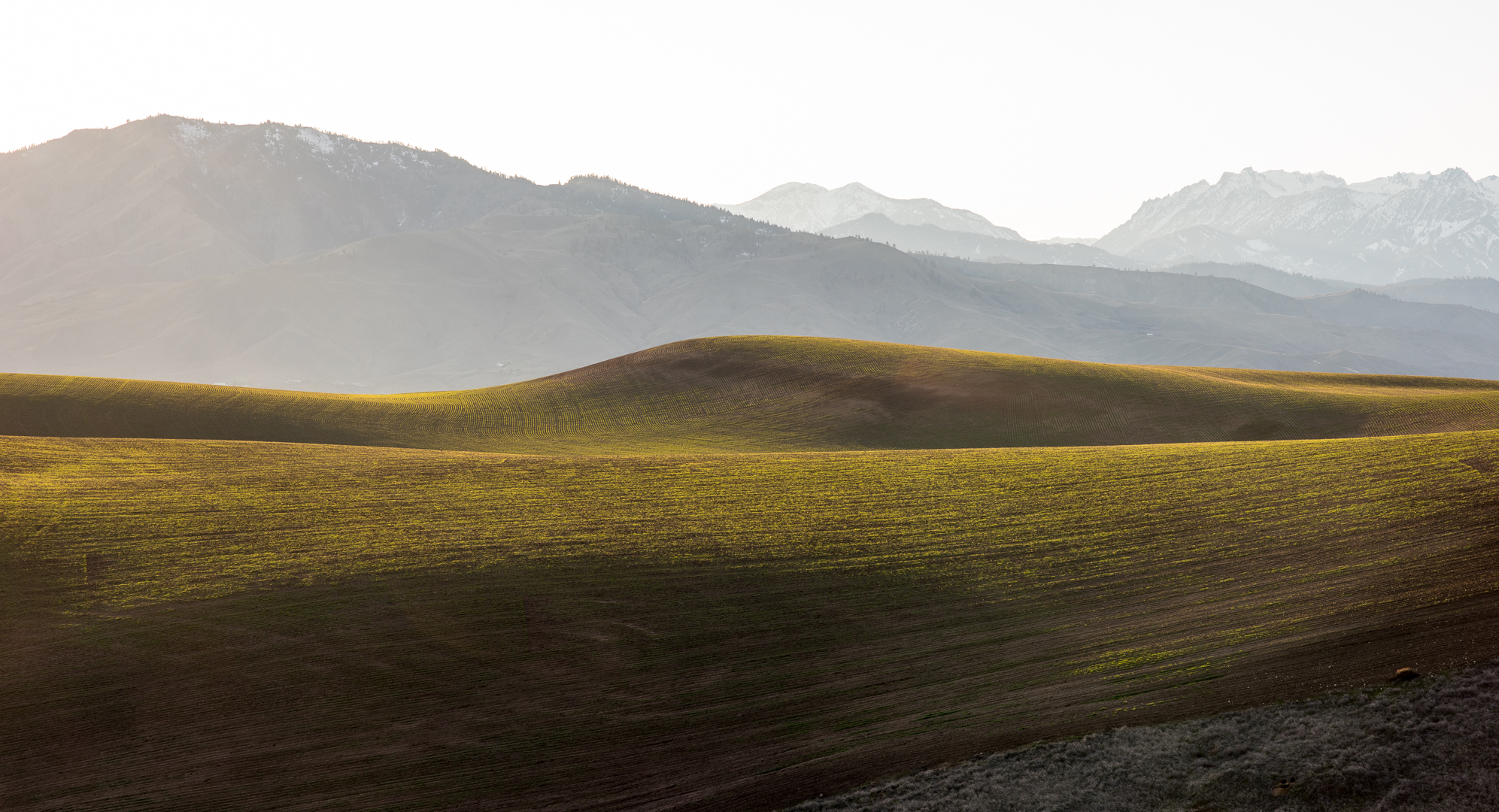 _DSC8081.jpg