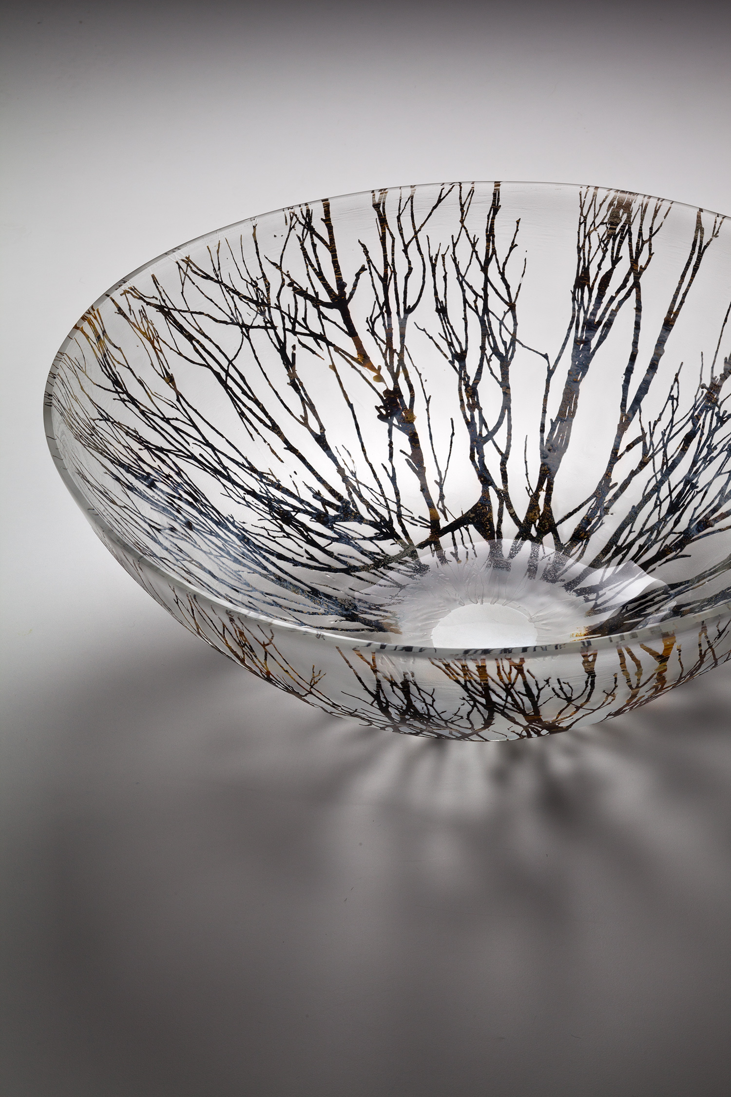 "Canopy - Bowl" 2012 H200mm x W530mm x D530mm