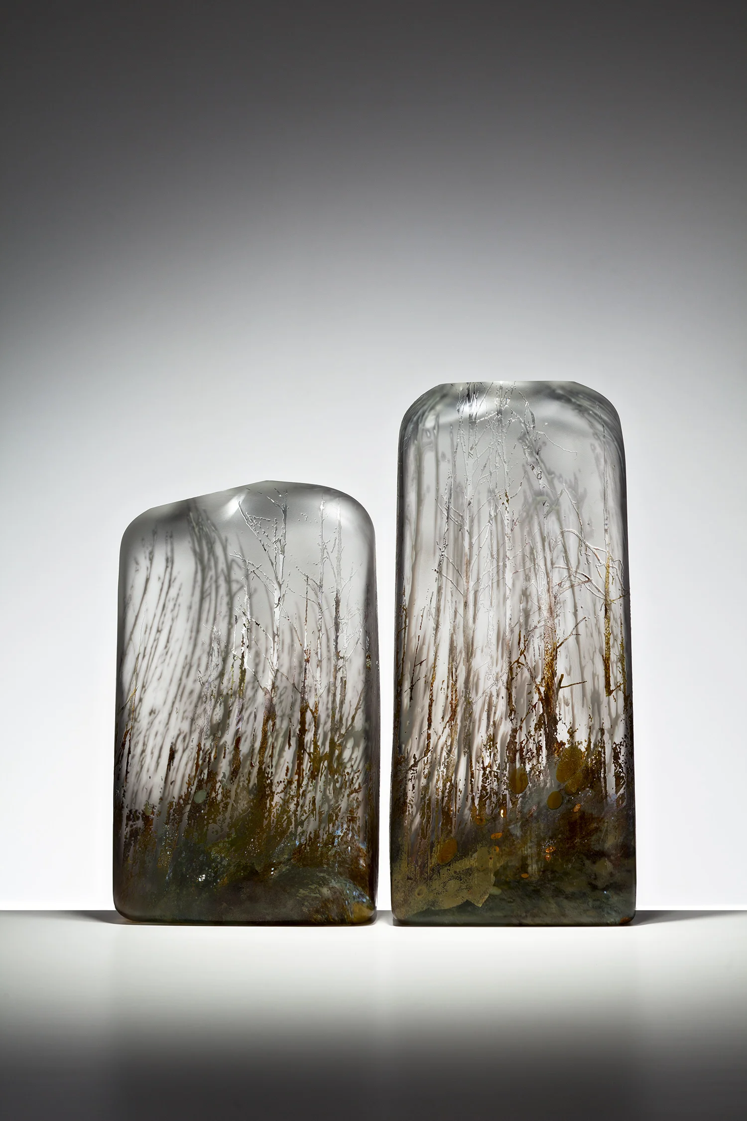 "Ghost Trees" 2012