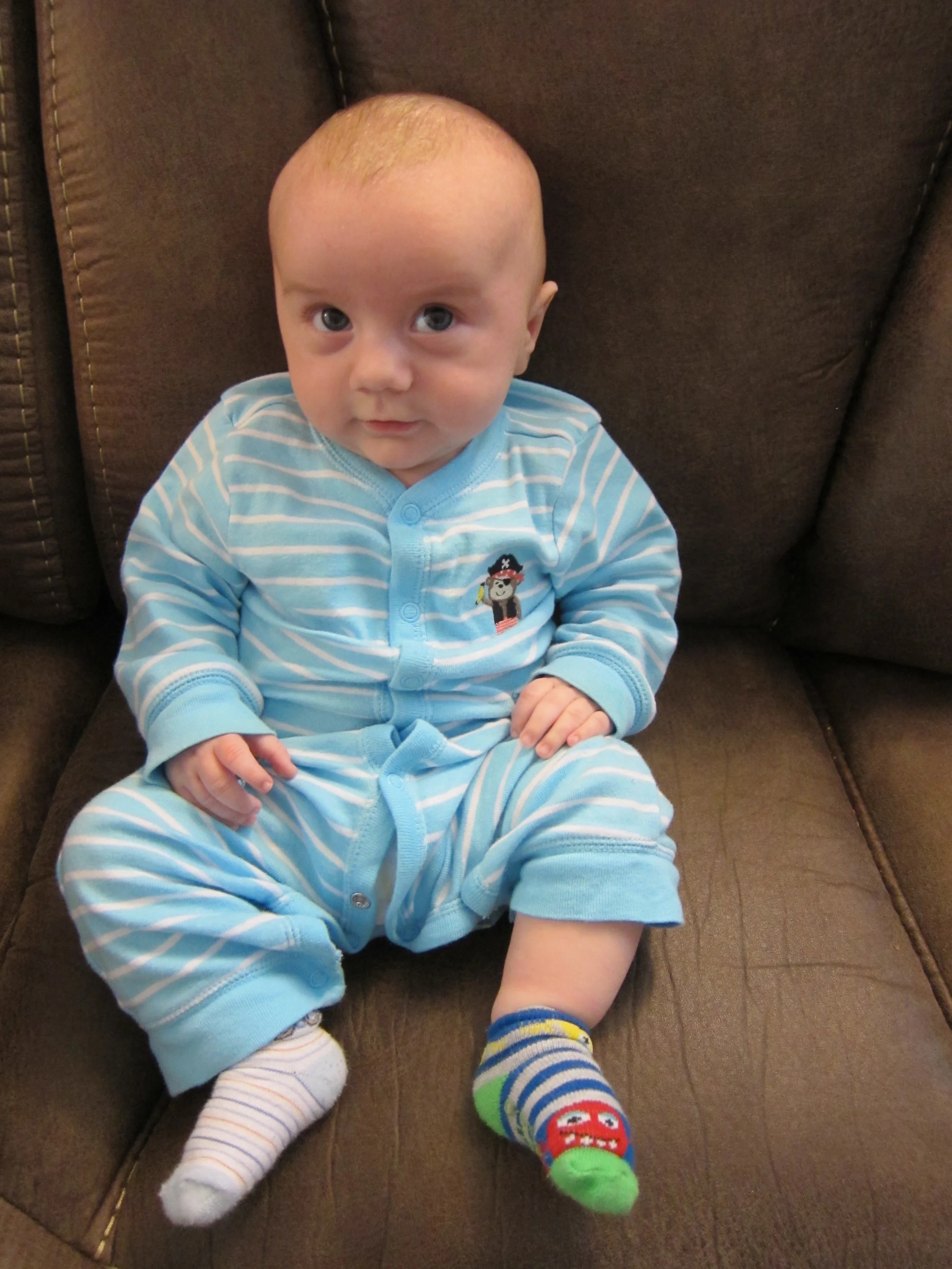 Someone shaved the cat you say?