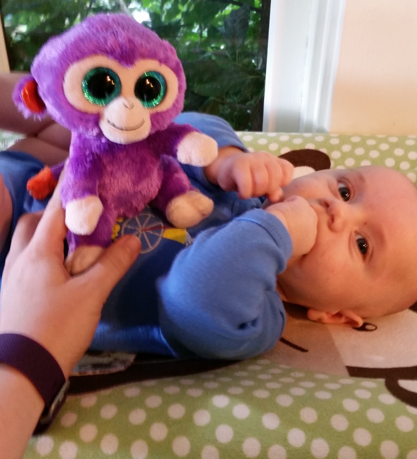 Lisa wants this monkey and is bigger than the baby...