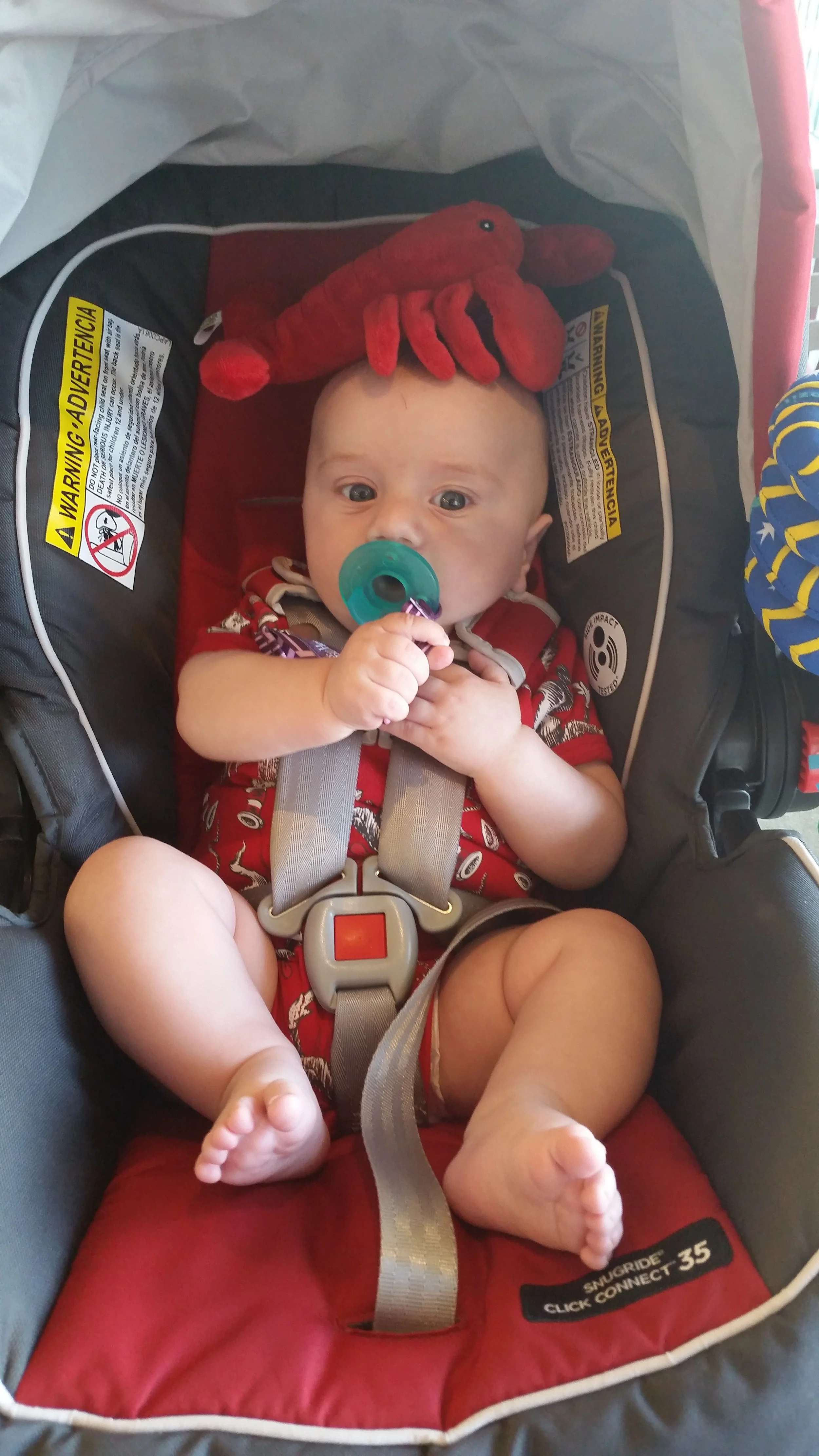 20150606_161041.jpg
