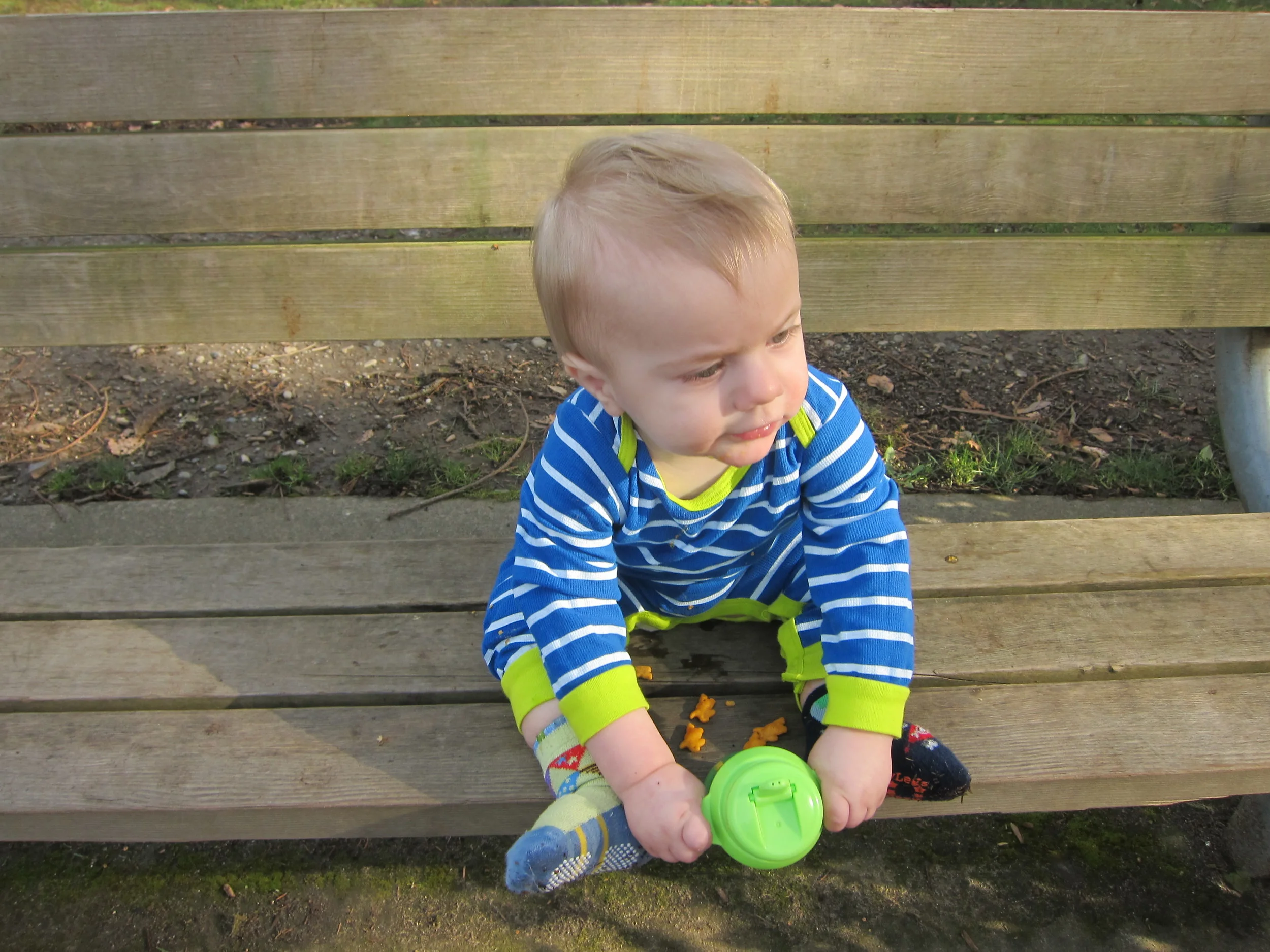 Chillin' at the park