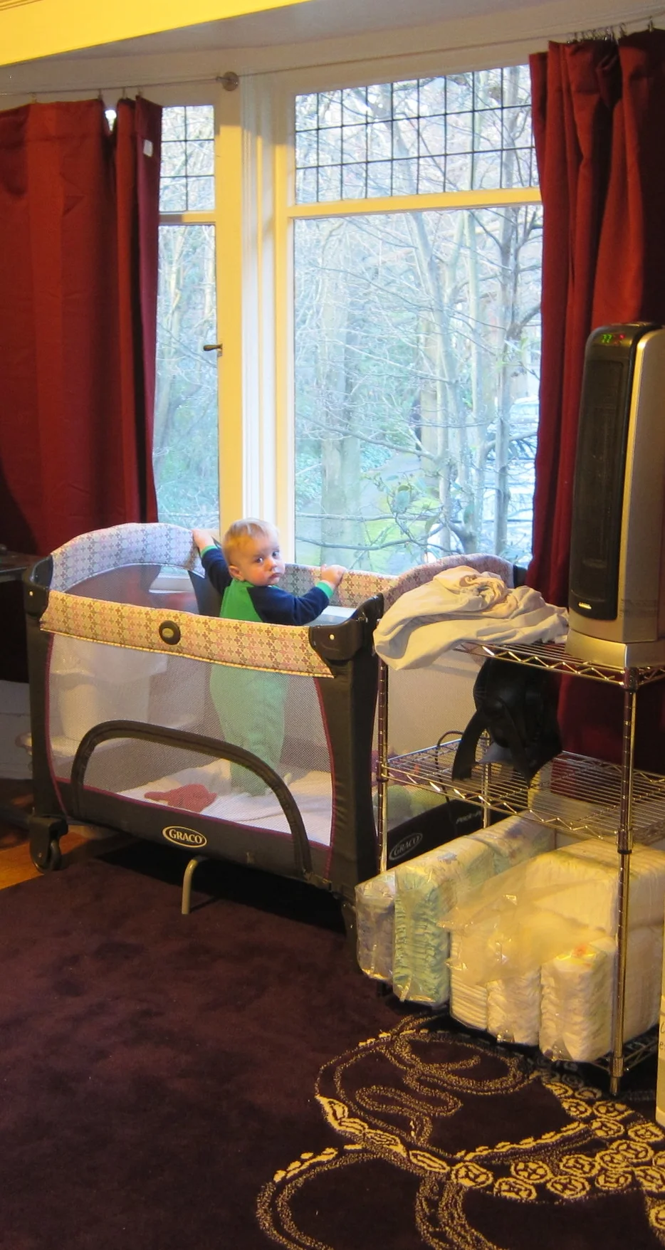 Checking out the birdies