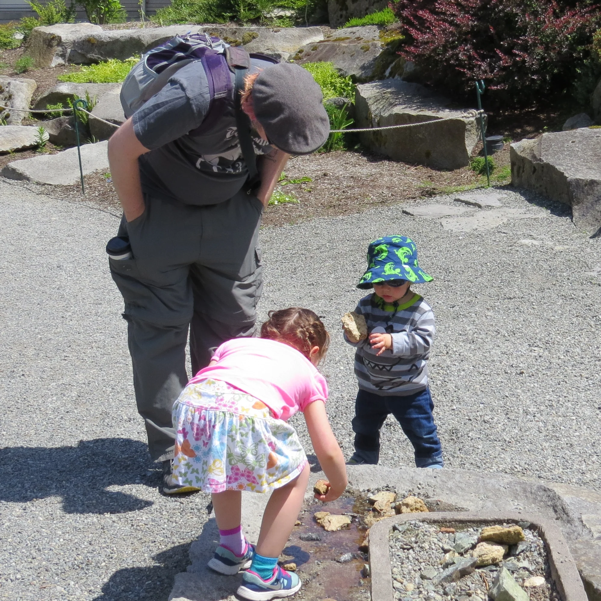 Playing with wet rocks