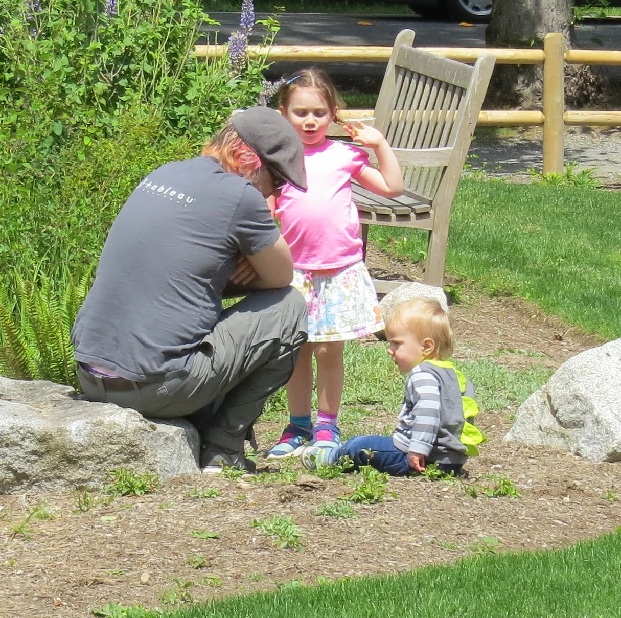 Found some dirt to sit in