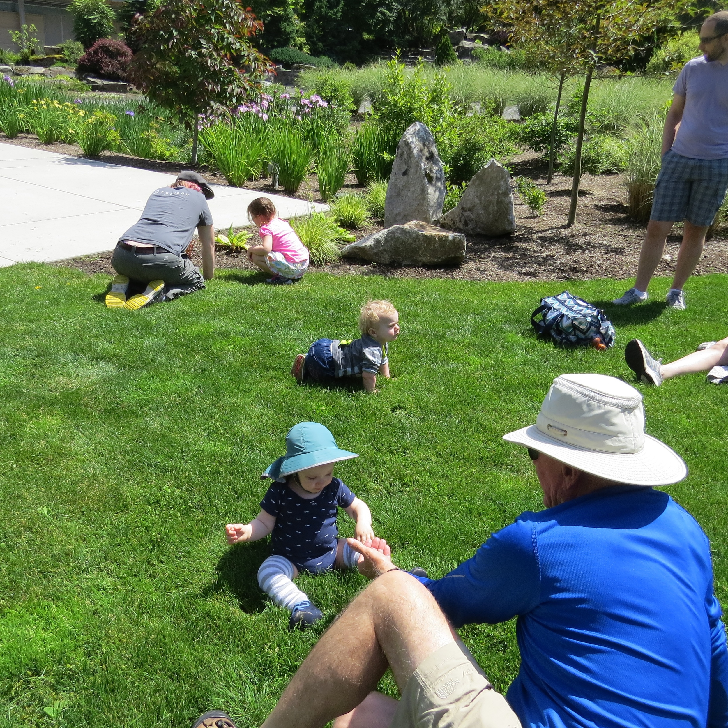 Hanging out on the grass