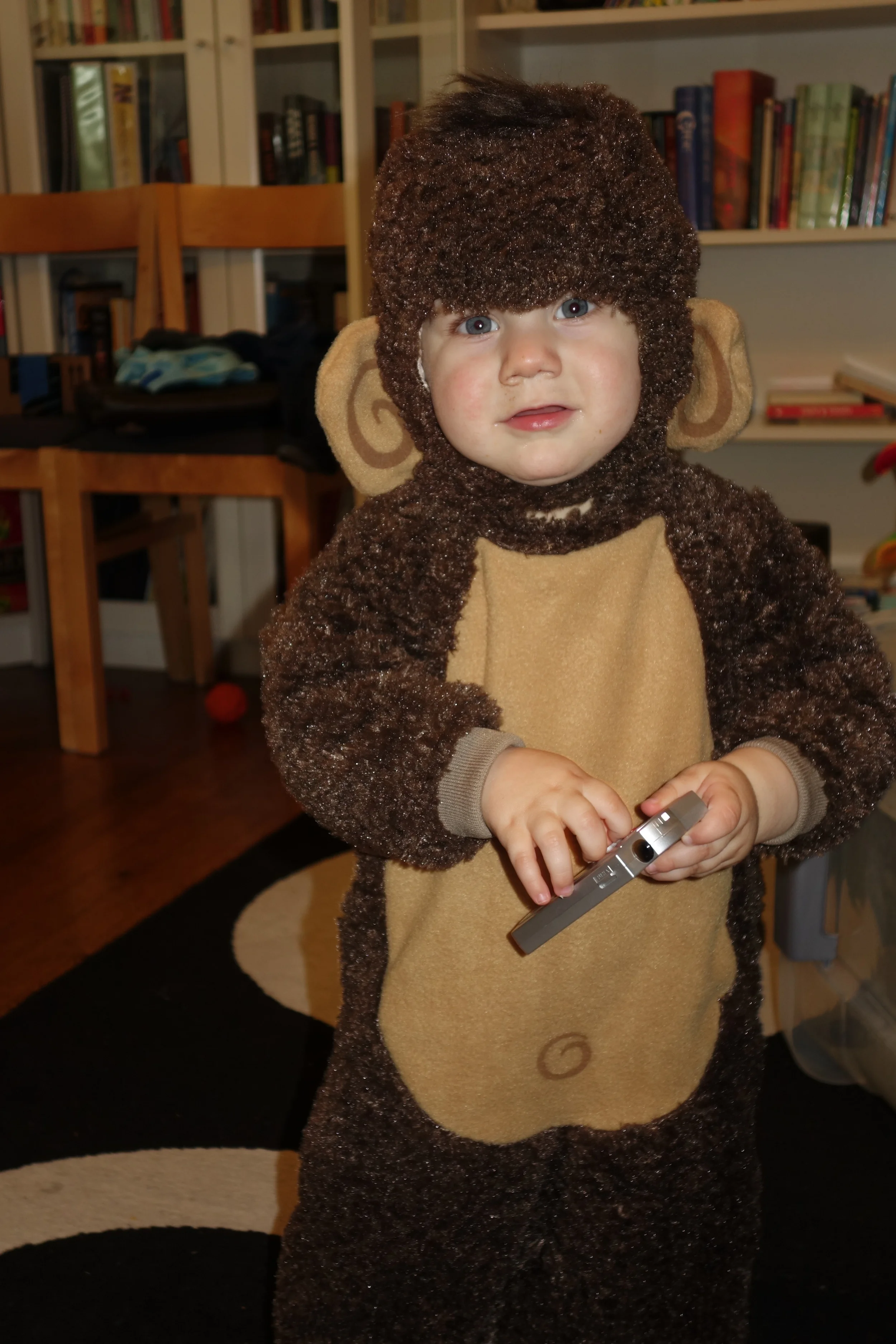 DSC00141.JPG