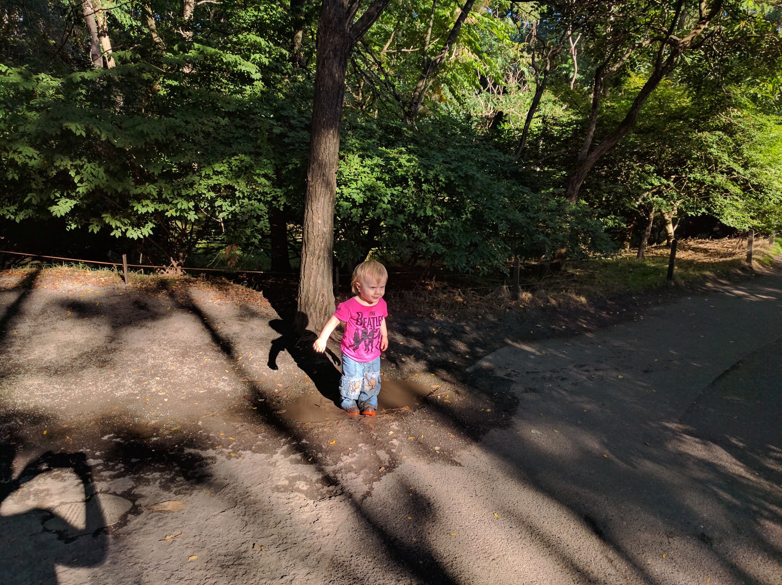 Biggest mud puddle yet