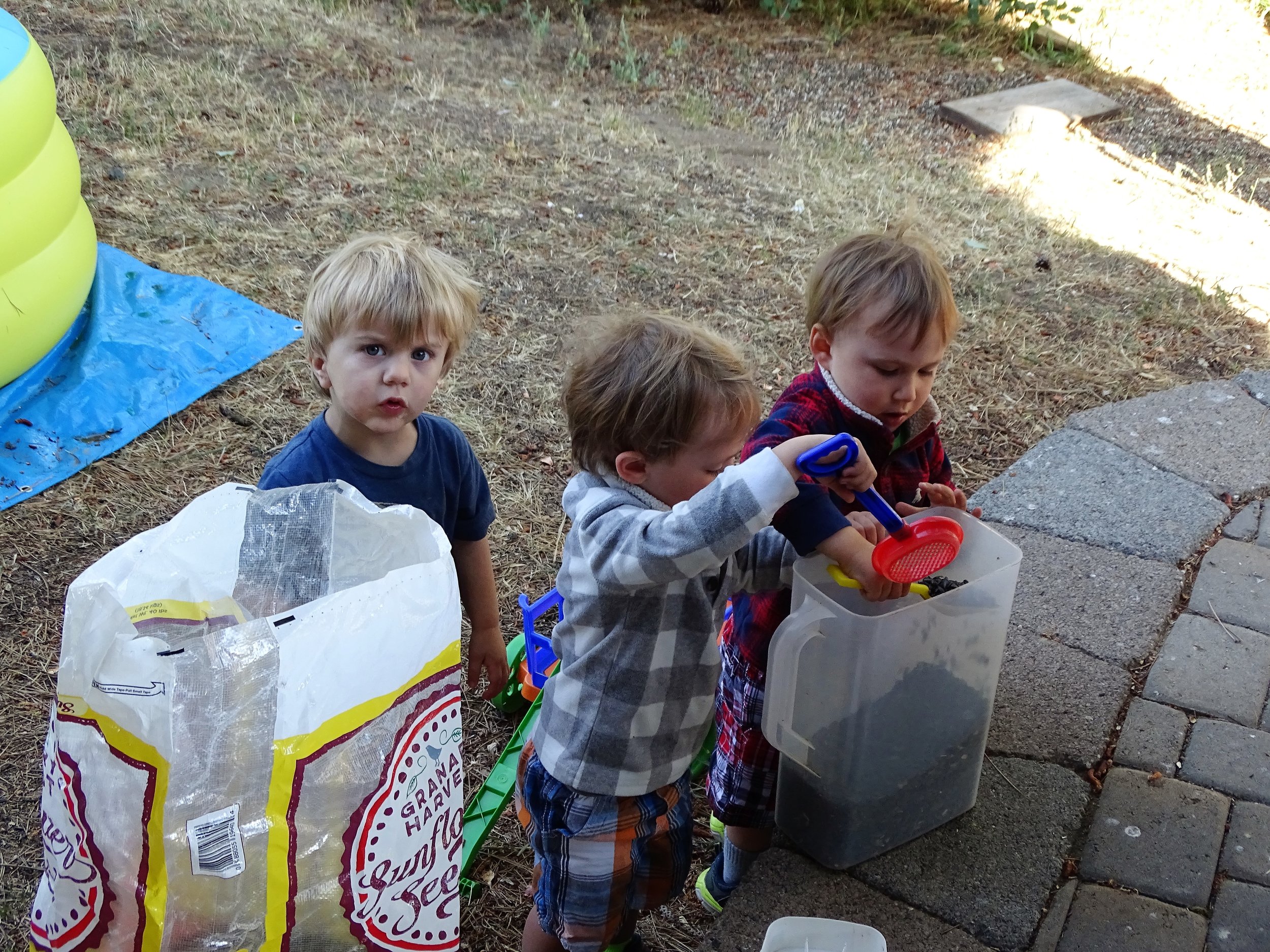 Filling the bird feeders