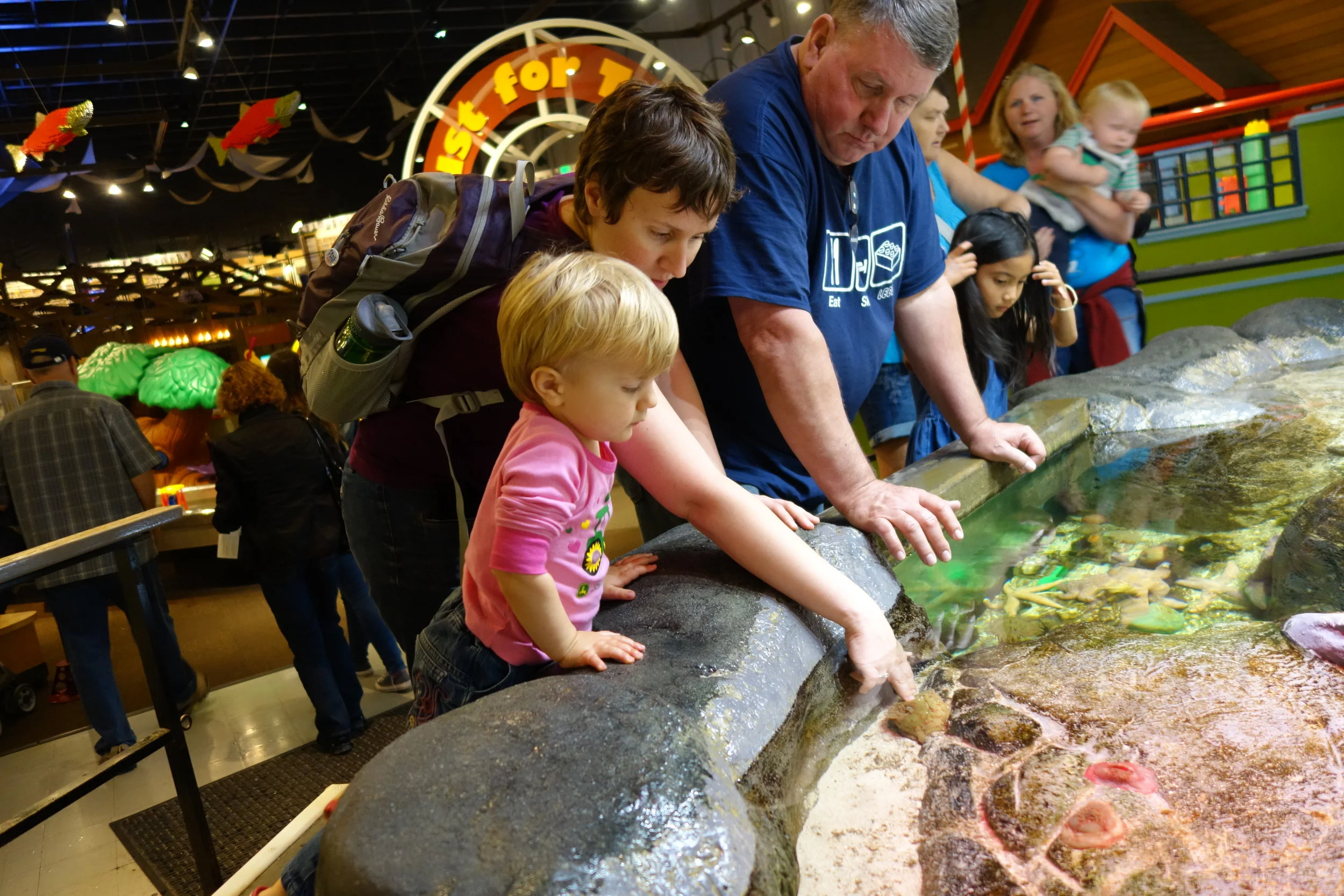 The touch tank