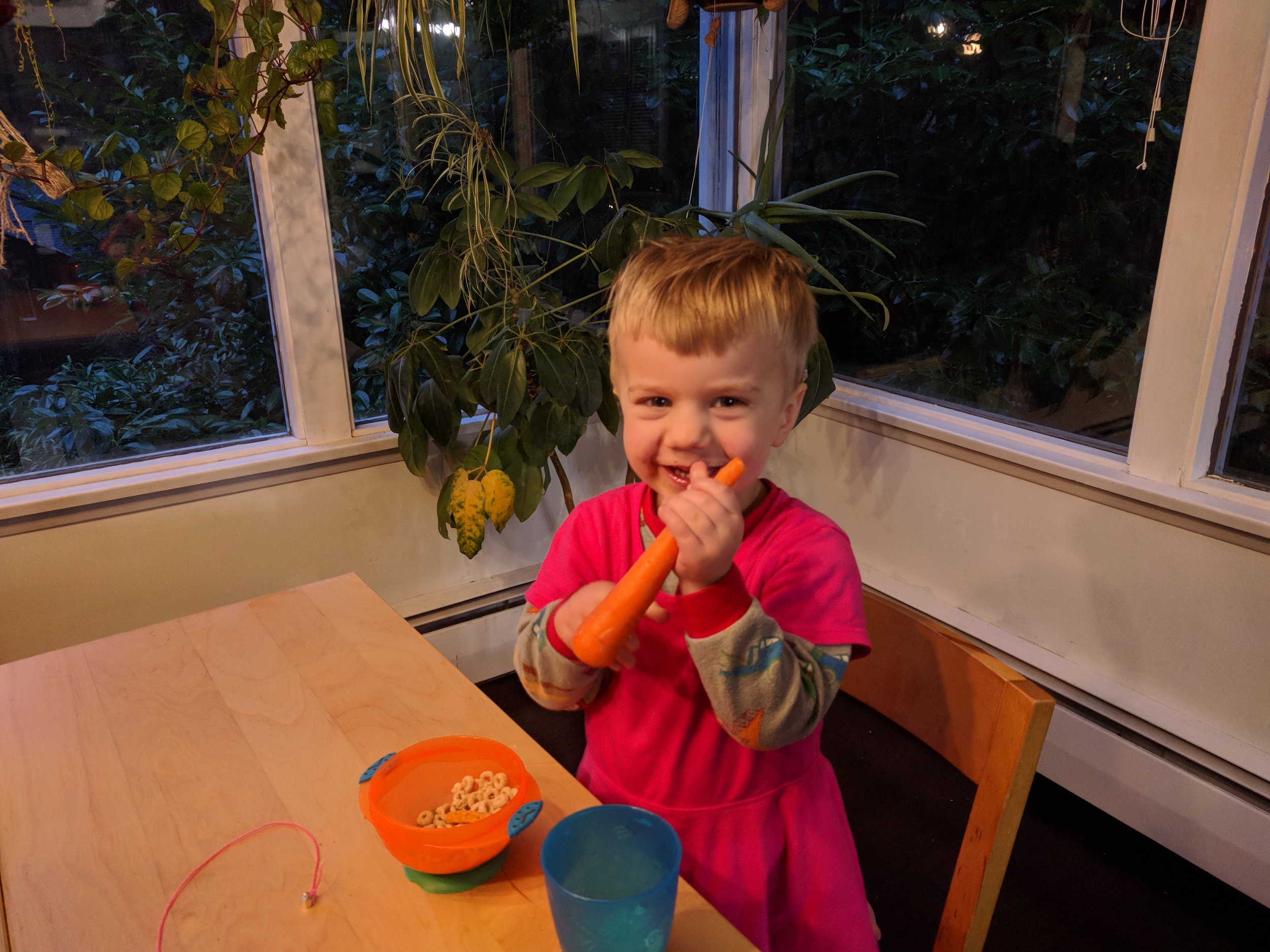 Thrilled for carrots