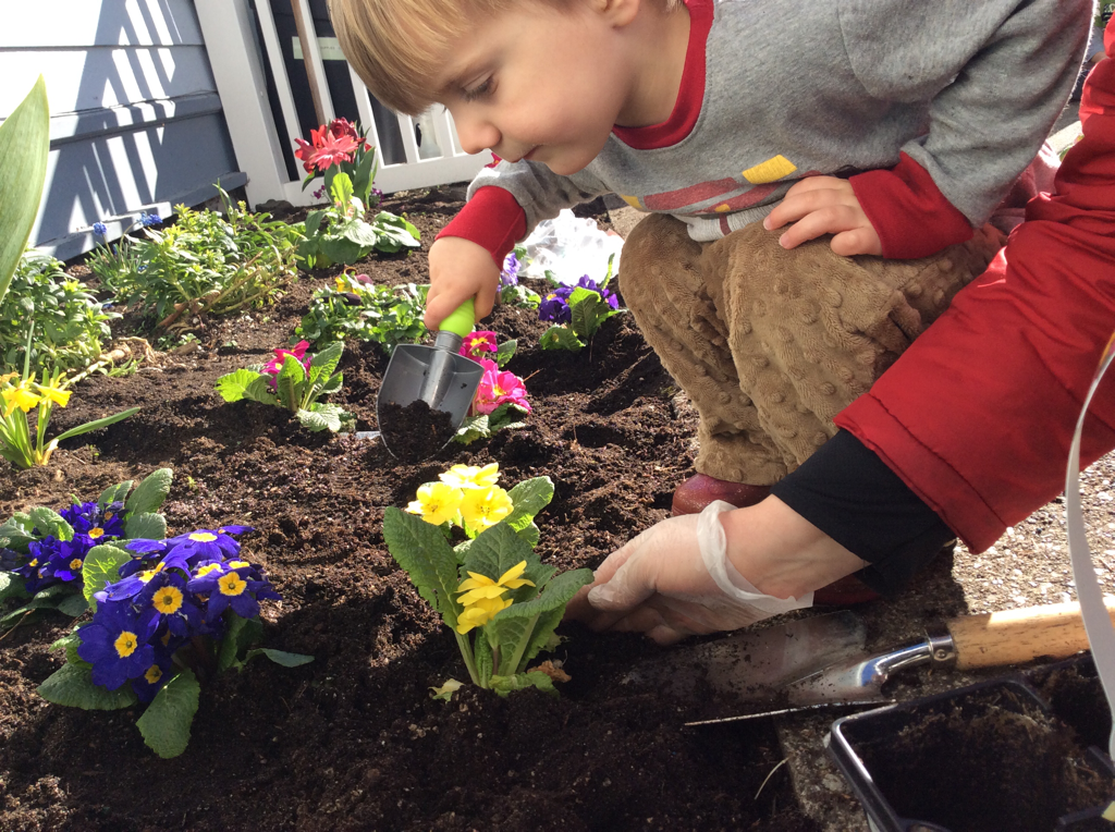 Planting at school