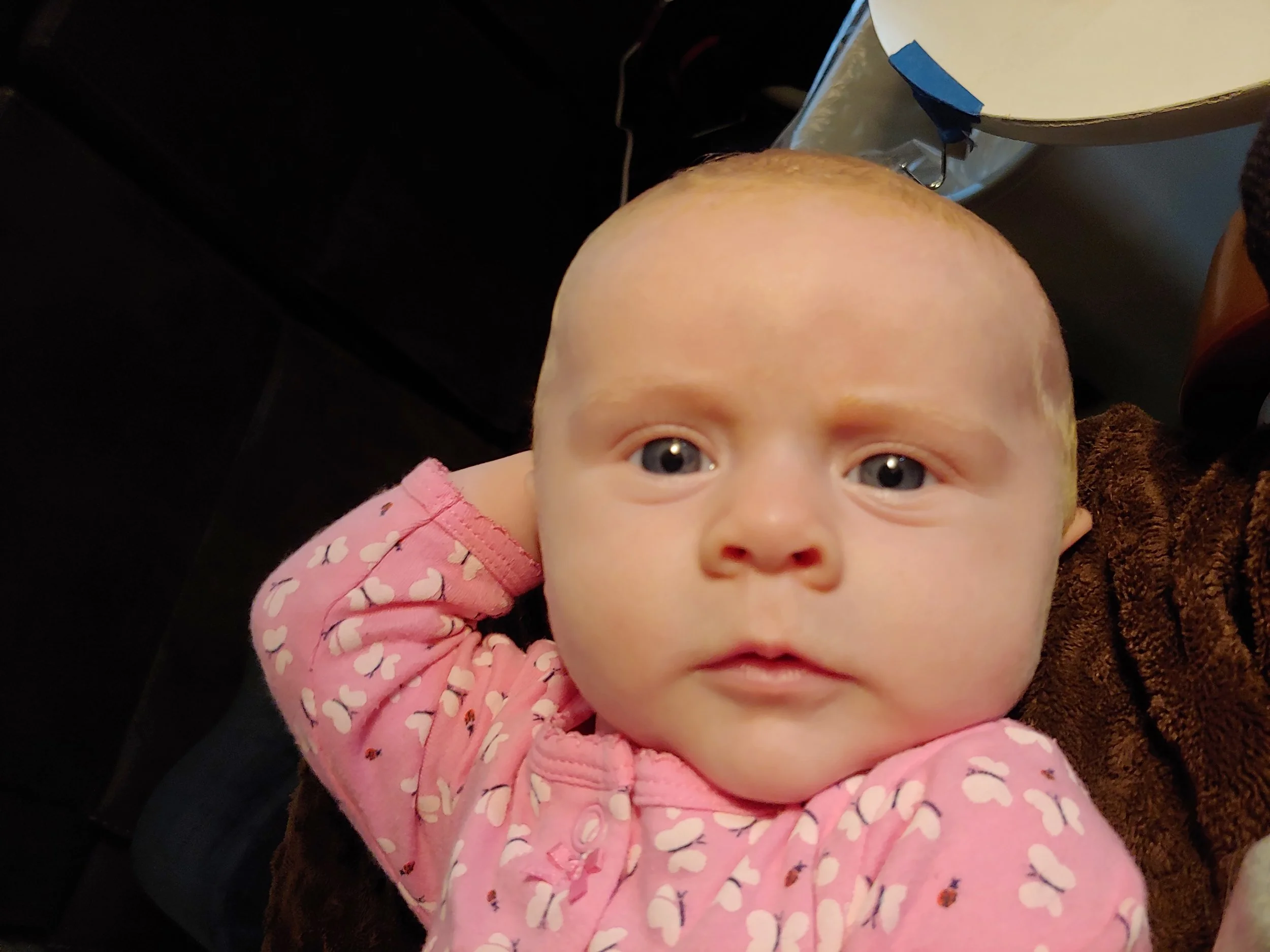 20190809_113523_HDR.jpg