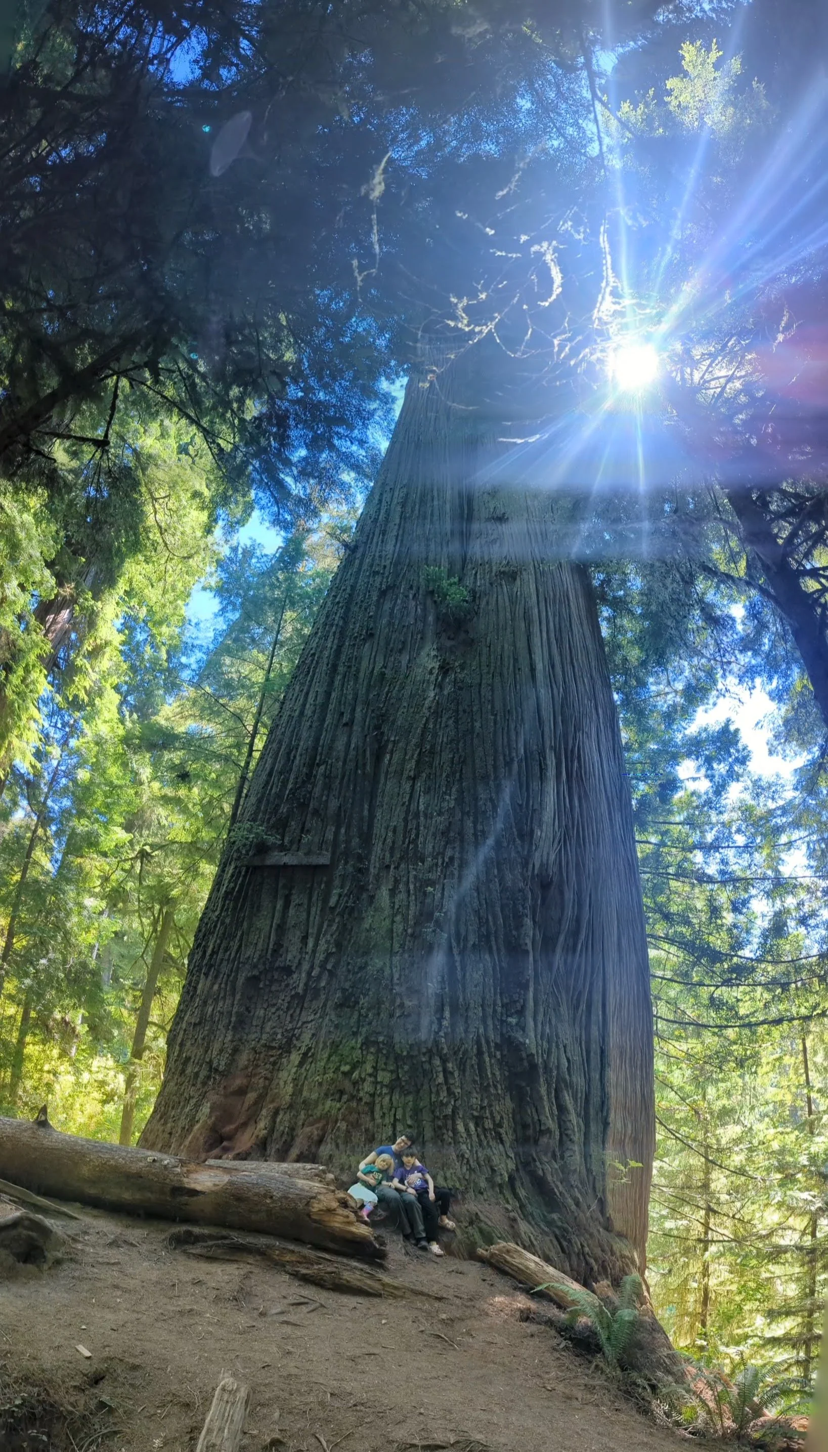 PXL_20230723_212749967.PANO.jpg