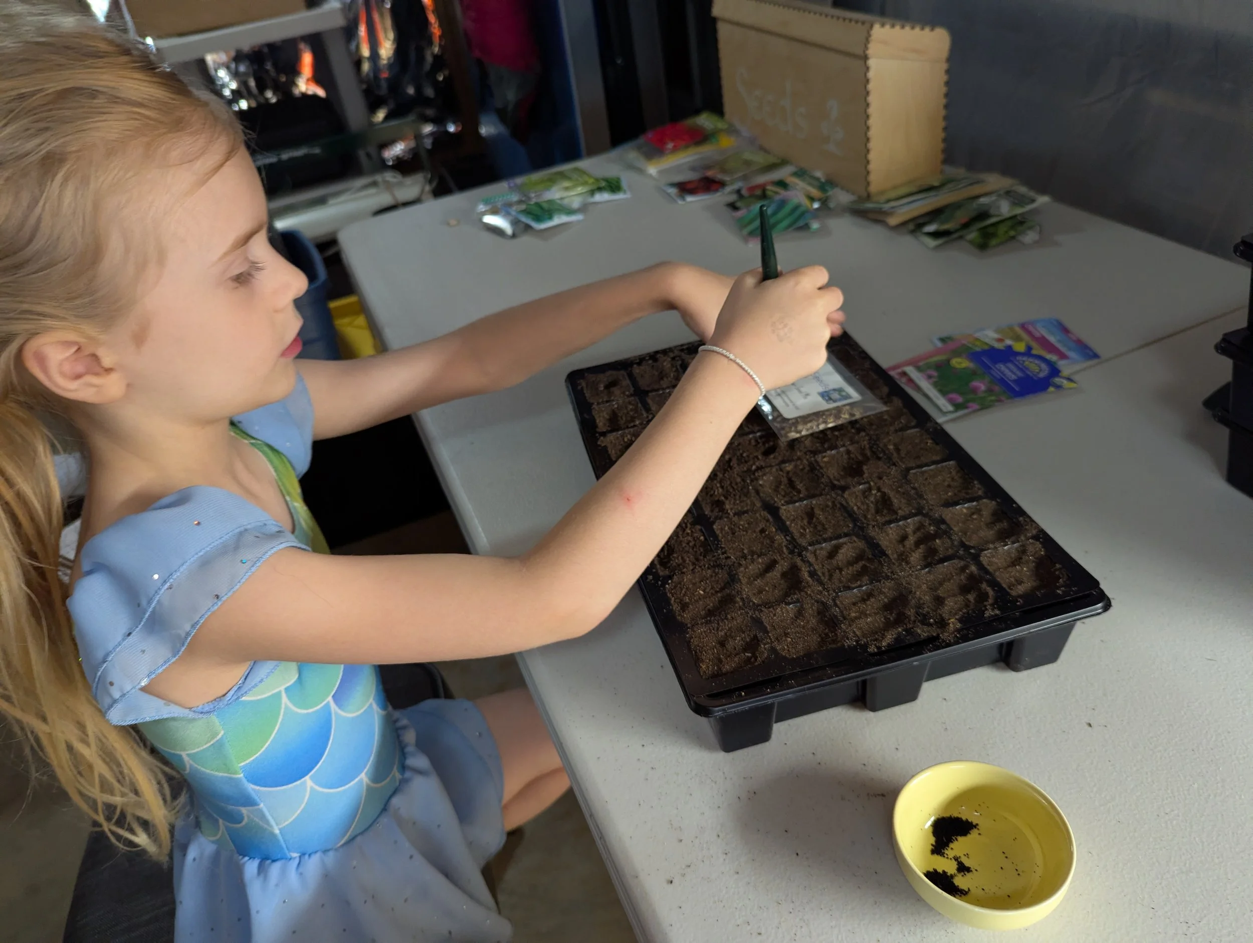 Planting Starts