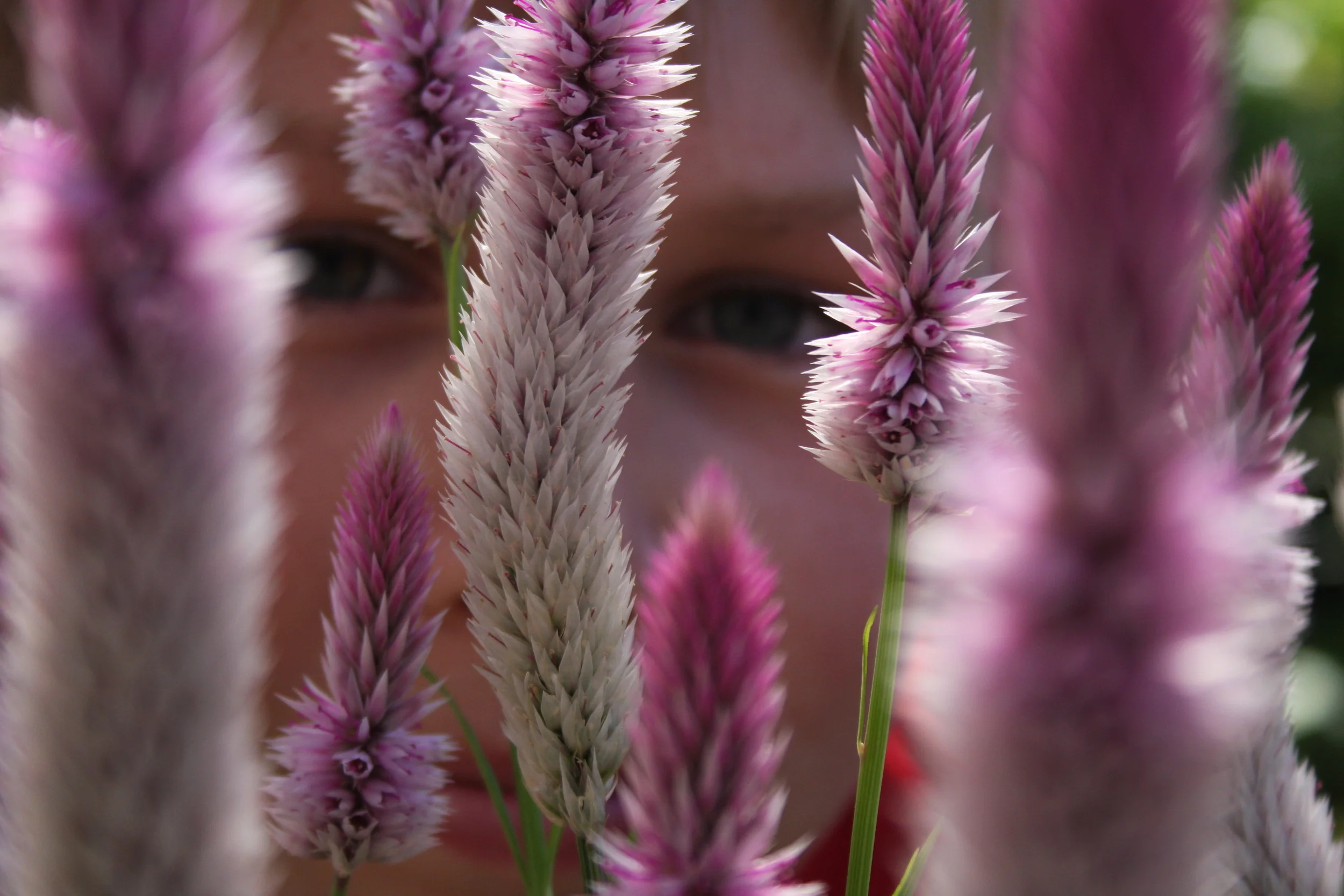 House on the Rock.  Spring Green, WI.