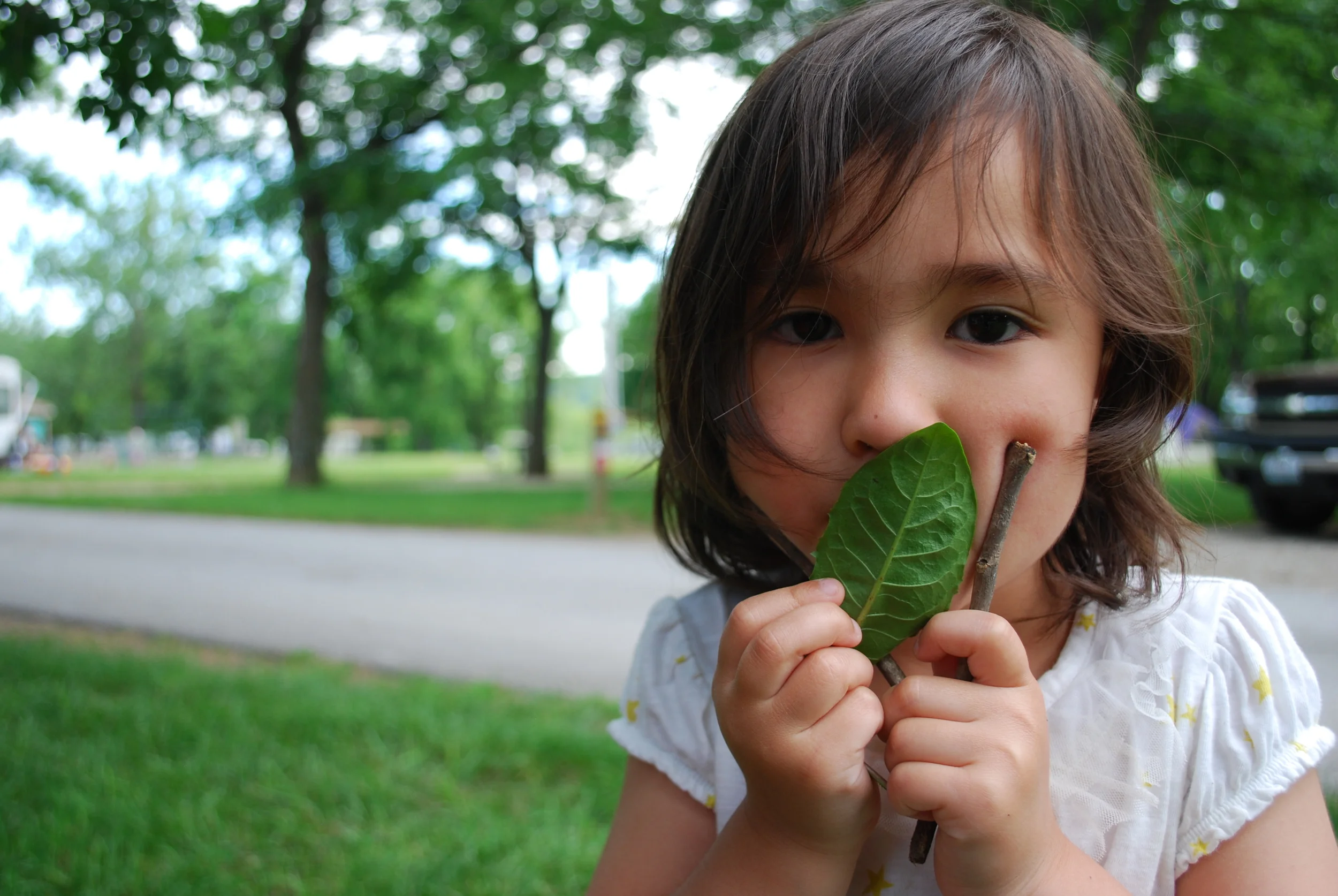 Pomme de Terre National Park, MO.