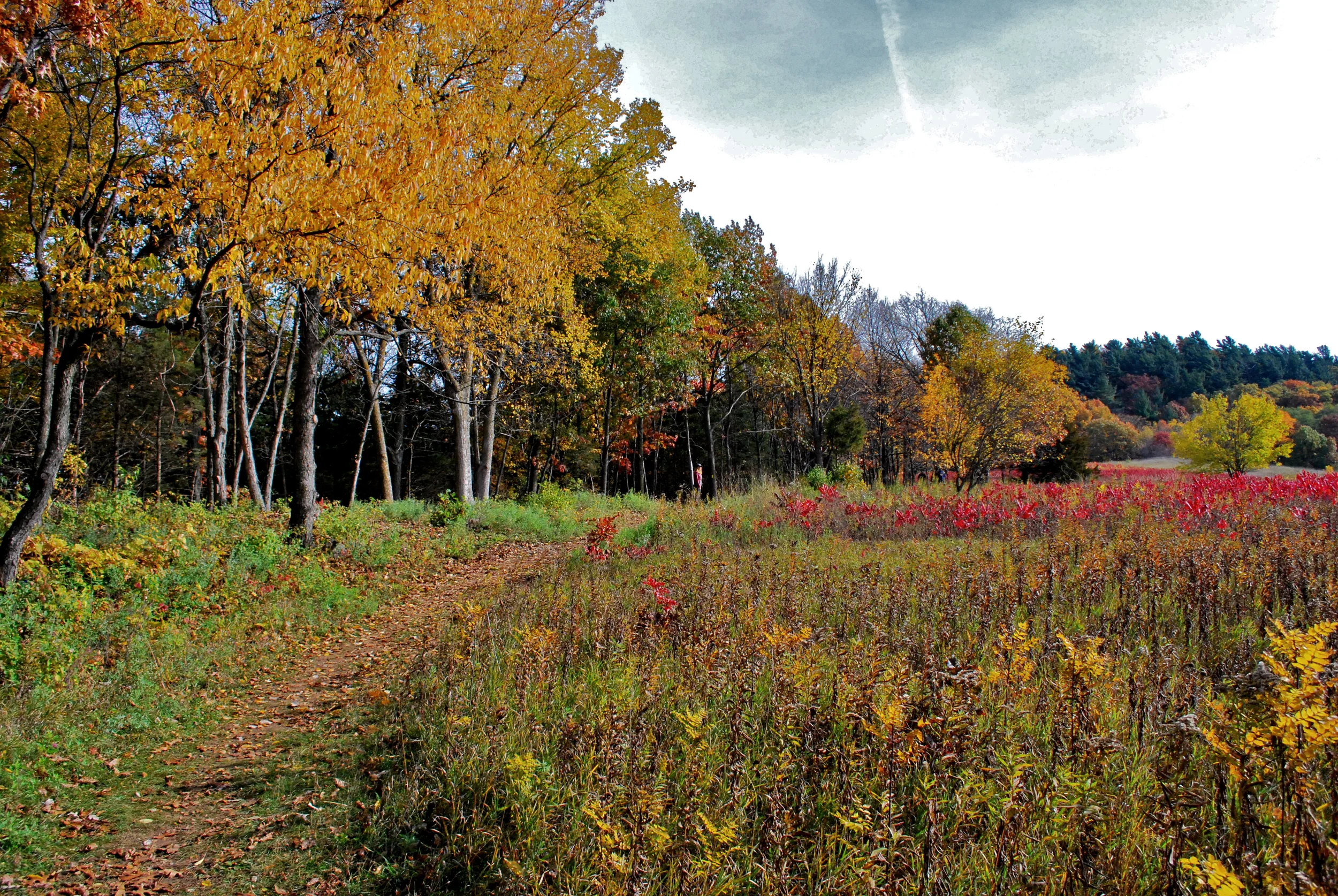 Ice Age National Scenic Trail. Lodi, WI.