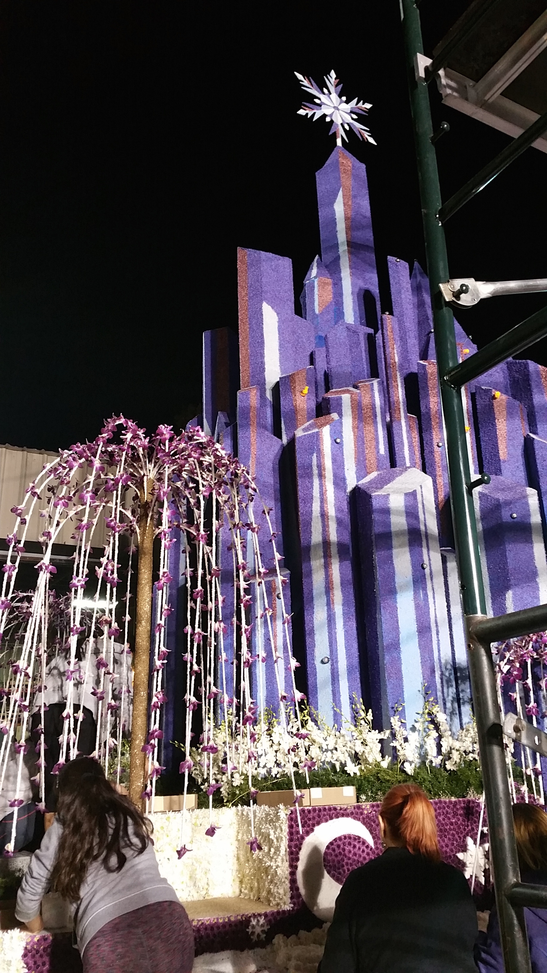 Rose Parade 2016 - Disney Diamond Celebration Float