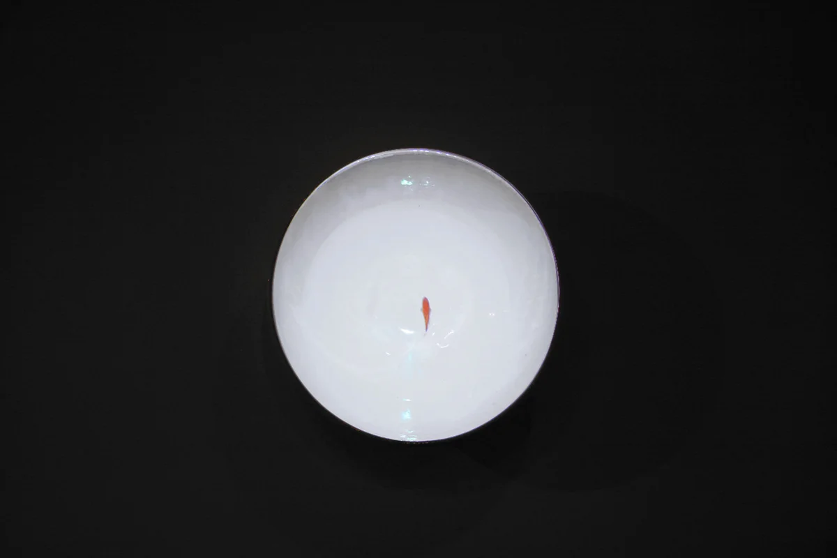 Video on the Ceramic Bowl 18.5H 18.5W 6.5D inch