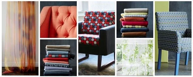 Carnegie Introduces Roy G Biv Collection